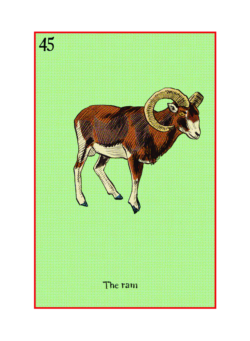 45 The Ram.jpg