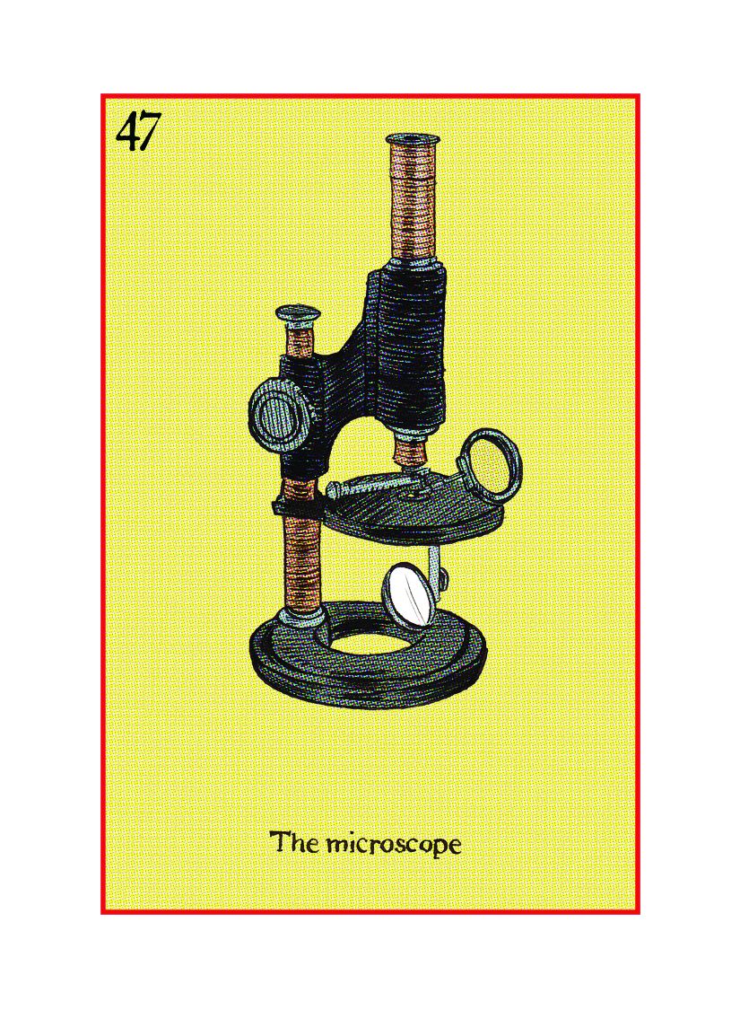 47 The Microscope.jpg