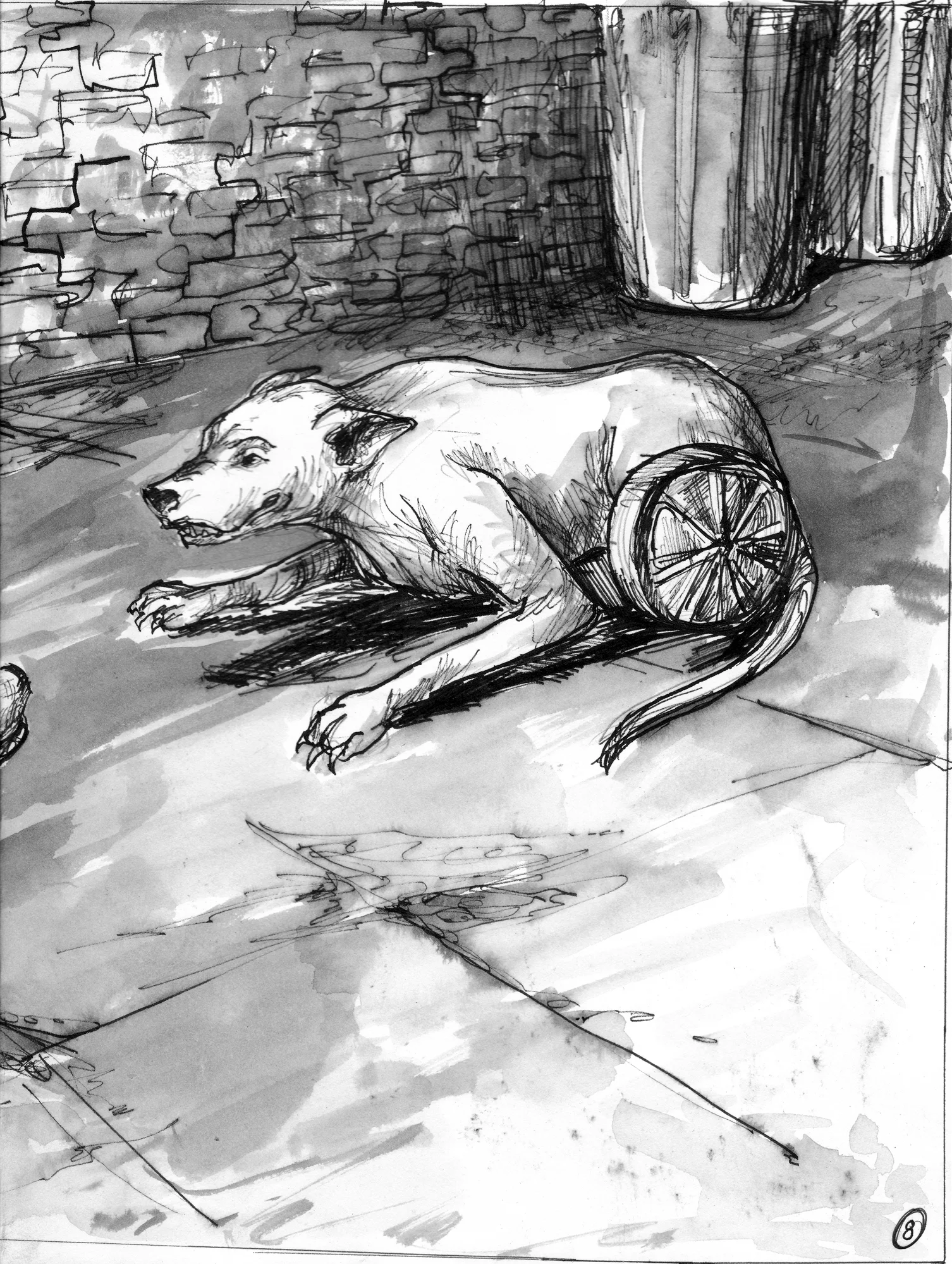 Dog on Wheels_0008.jpg