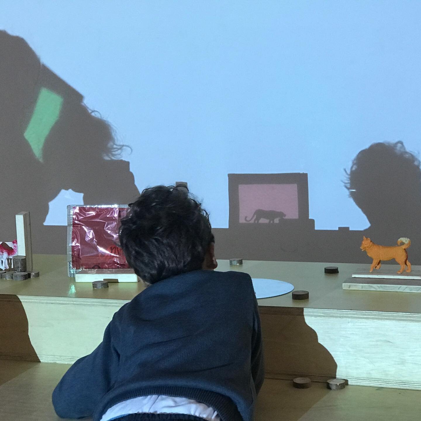 Student in activity that involves the use of light, shadows, miniatures of animals and colored transparencies to form scenarios and stories on the wall.