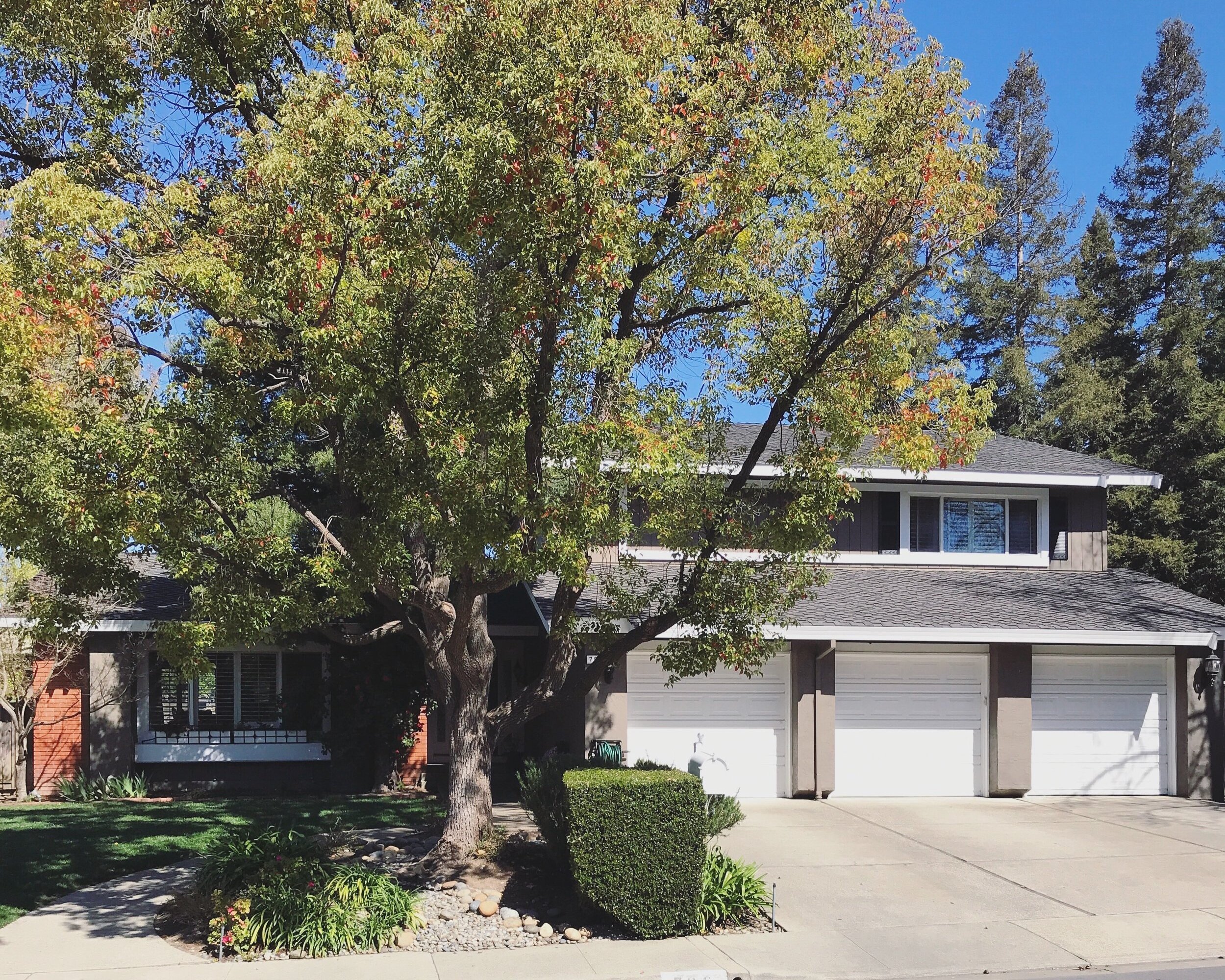 706 Contada Cir, DanvilleSold for $1,375,000Represented Buyers