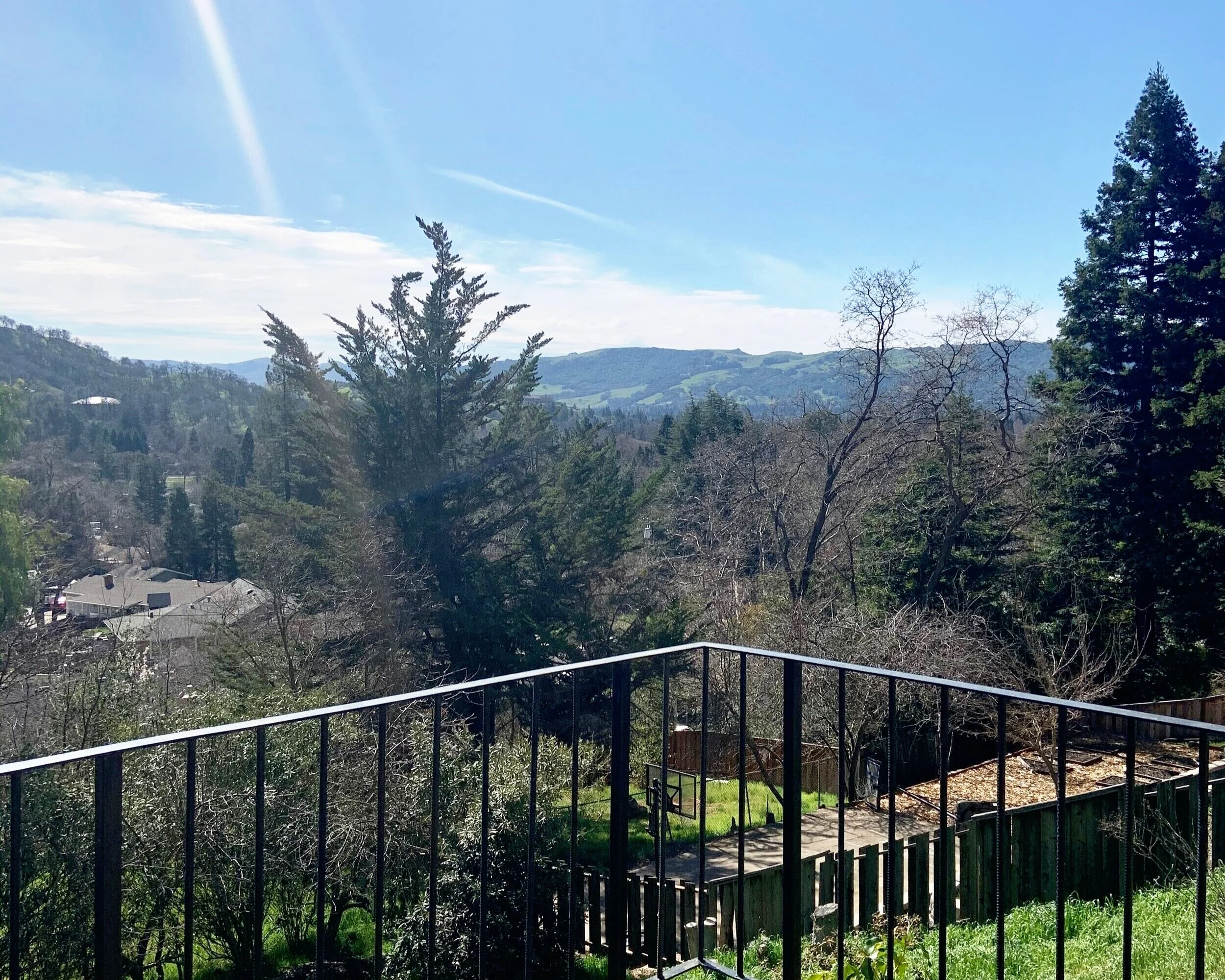 7 Pulido Ct, DanvilleSold for $865,000Represented Buyers