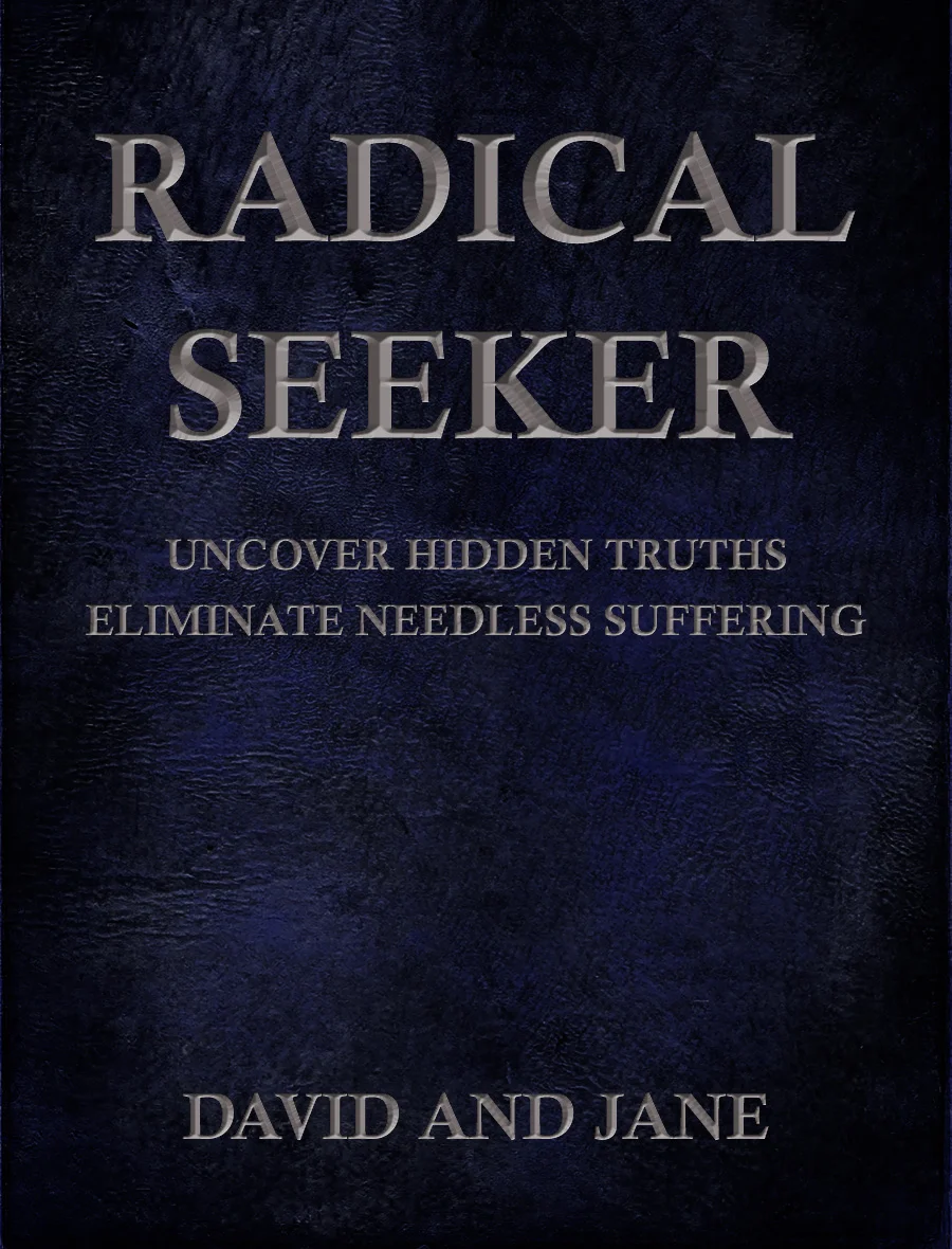 Radical Seeker Cover SILVER Resized.jpg