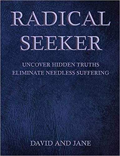 Radical Seeker Amazon Cover.jpg