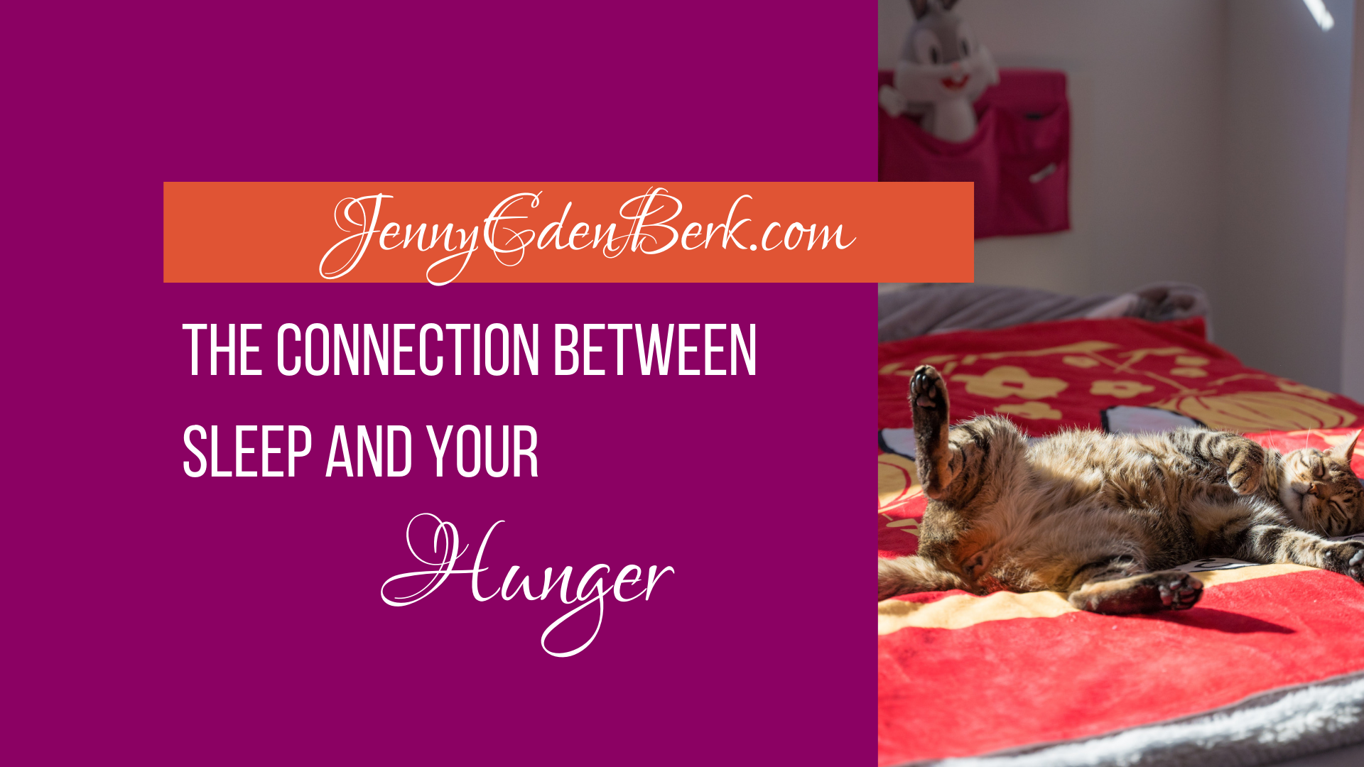 The Connection between Sleep and your Hunger