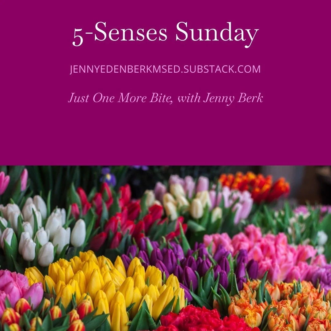 I have 831 open tabs and a notes app full of things I'm convinced I'll need someday. This week I'm sharing them with you instead of letting them pile up.

Five things per sense that fascinated me this week and didn't quite make it into a full essay: 