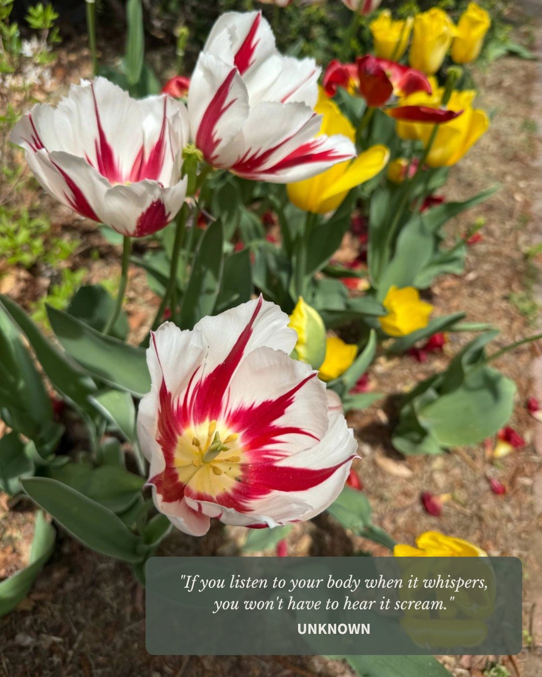 This week started off a bit rough. Unexpected migraines followed by the stomach flu COMPLETELY threw off my rhythm. So when I came across the quote, &ldquo;If you listen to your body when it whispers, you won&rsquo;t have to hear it scream,&rdquo; it