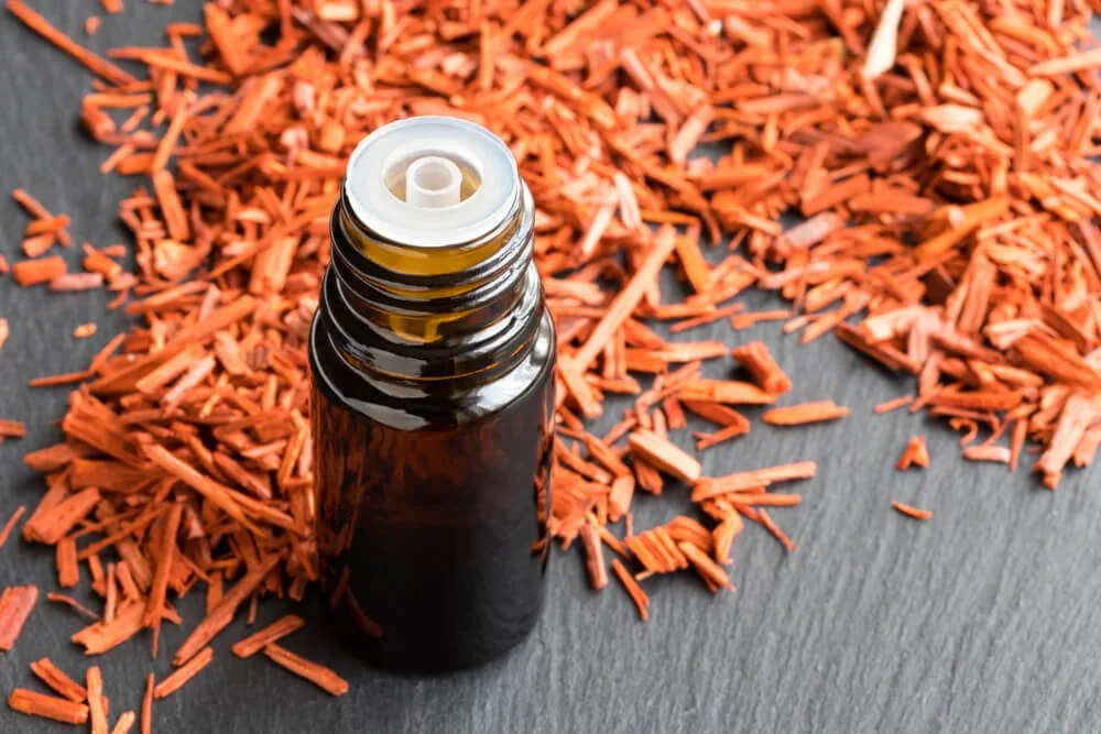The Versatile, Woody Aromatic Oil Known as Sandalwood Oil