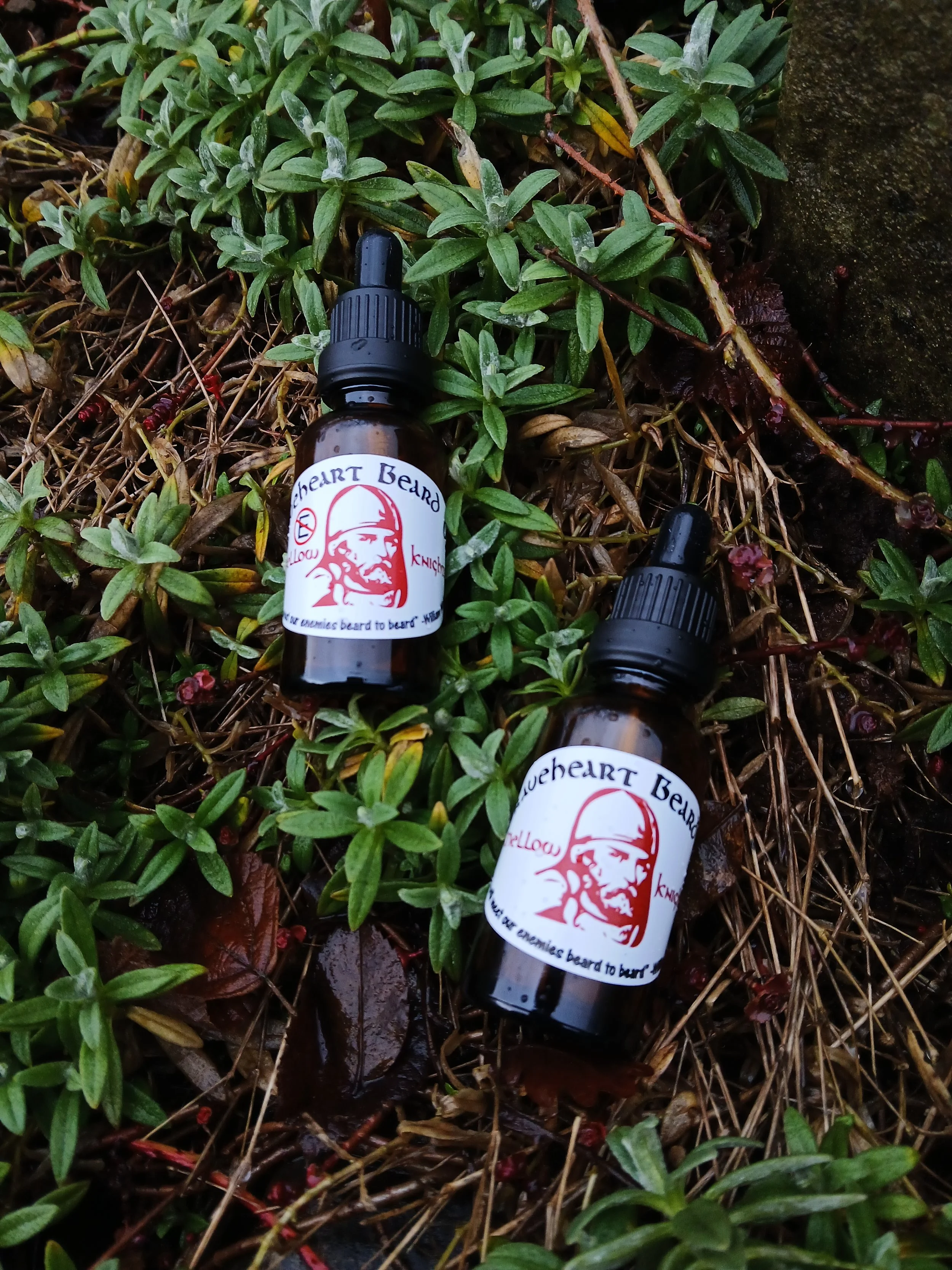 Two small brown glass bottles with black dropper caps lying on green leafy ground with some brown twigs and a rock nearby. One bottle has a white label with red and black text and a halftone image of a man's face.