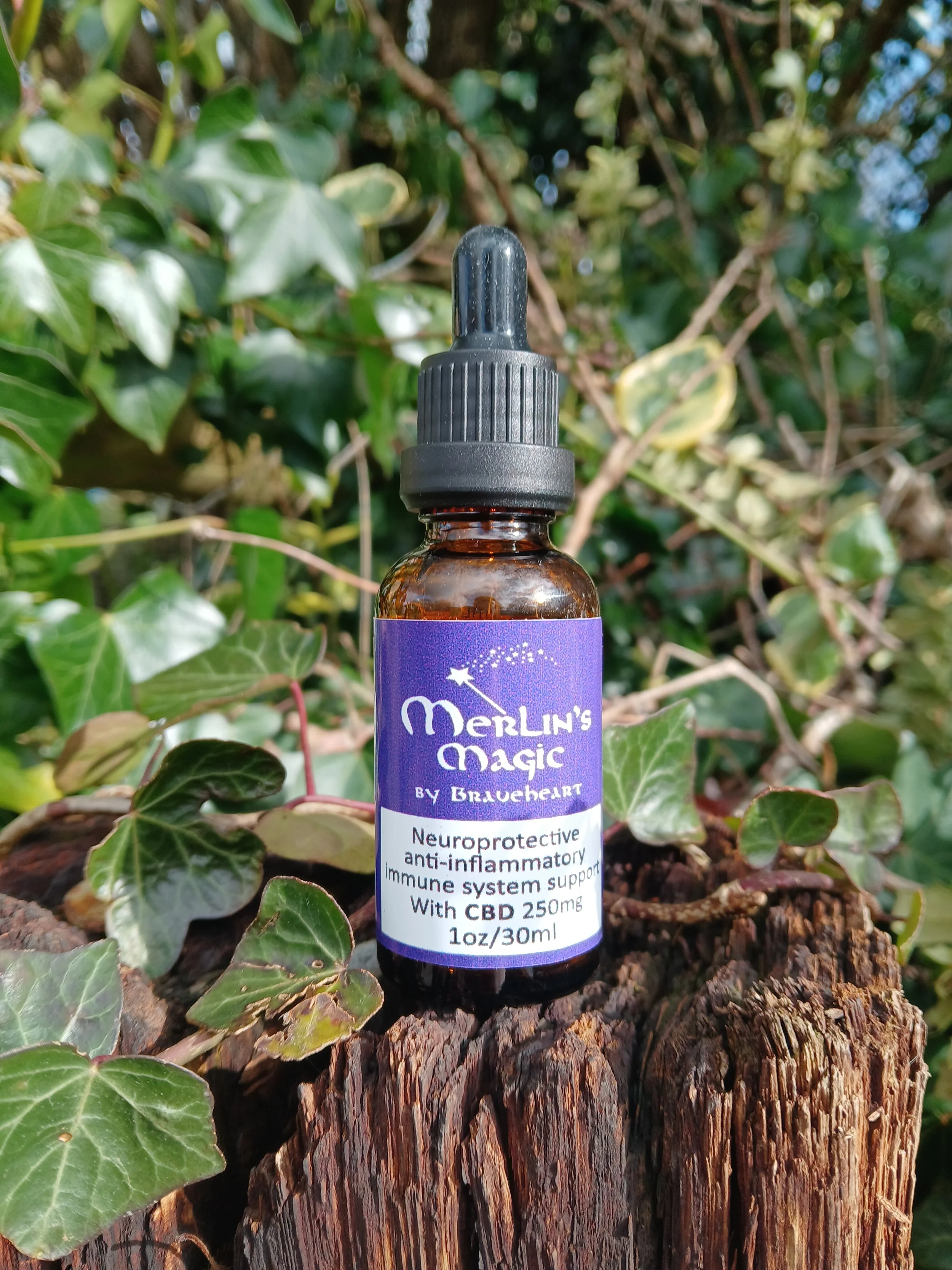 A small brown glass bottle of Merlin's Magic with a black childproof dropper cap sitting on a tree stump surrounded by green ivy leaves.