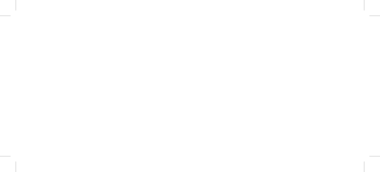 Blitz Capital Group