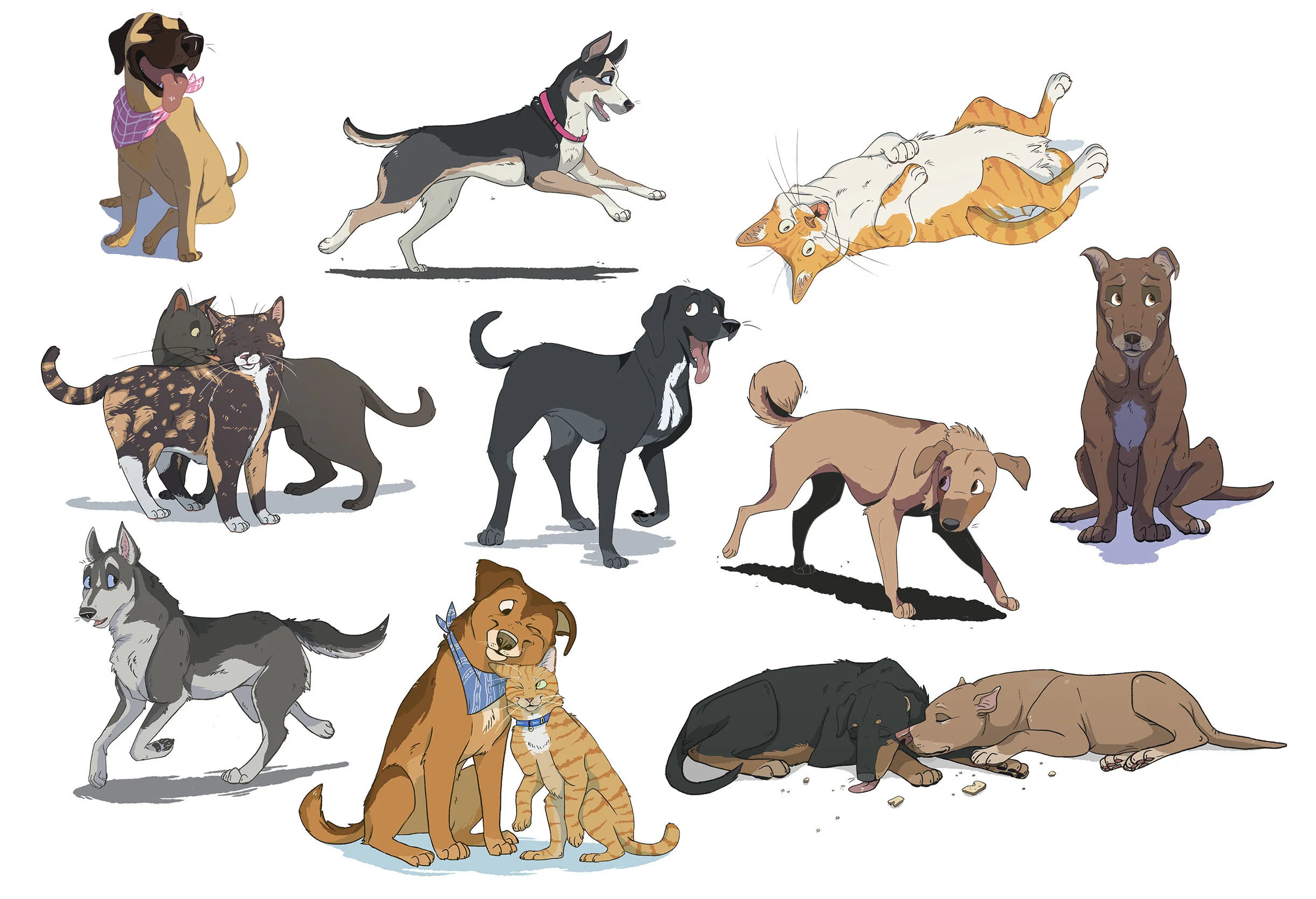 Pets.jpg
