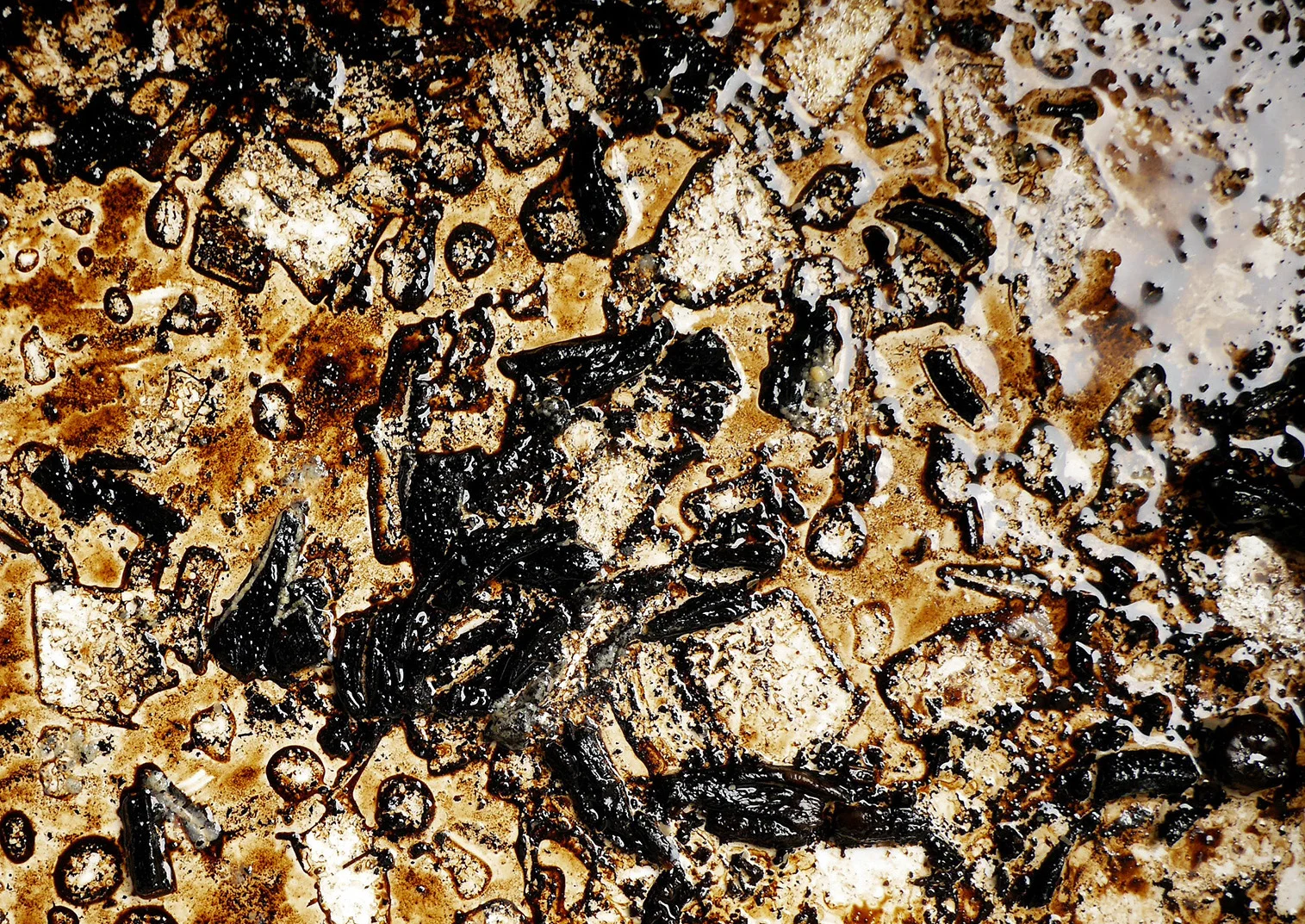 Alexandra Hanyue von Minden, Burnt Dinner , 2019, Photograph, 11'' x 17''.