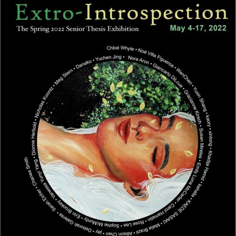 Extro-Introspection