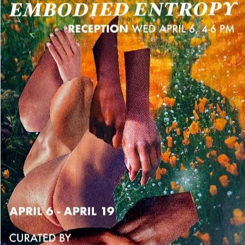 Embodied Entropy