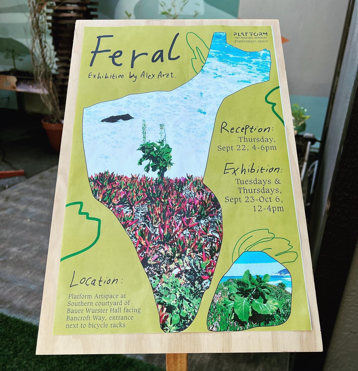 Happening NOW! 
&ldquo;Feral&rdquo; Art Opening
By Alex Arzt
4-6pm at Platform Artspace

Bay Area artist Alex Arzt explores the mysteries of wild local cabbages -  see the exhibit and pick up her stunning publication. 

Platform Artspace is a social 