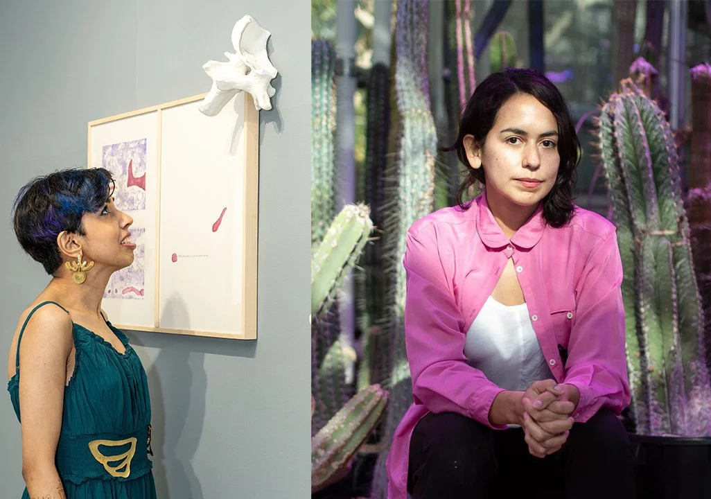 MFA Artist Talks: Priyanka D'Souza and Viviana Carlos Martinez