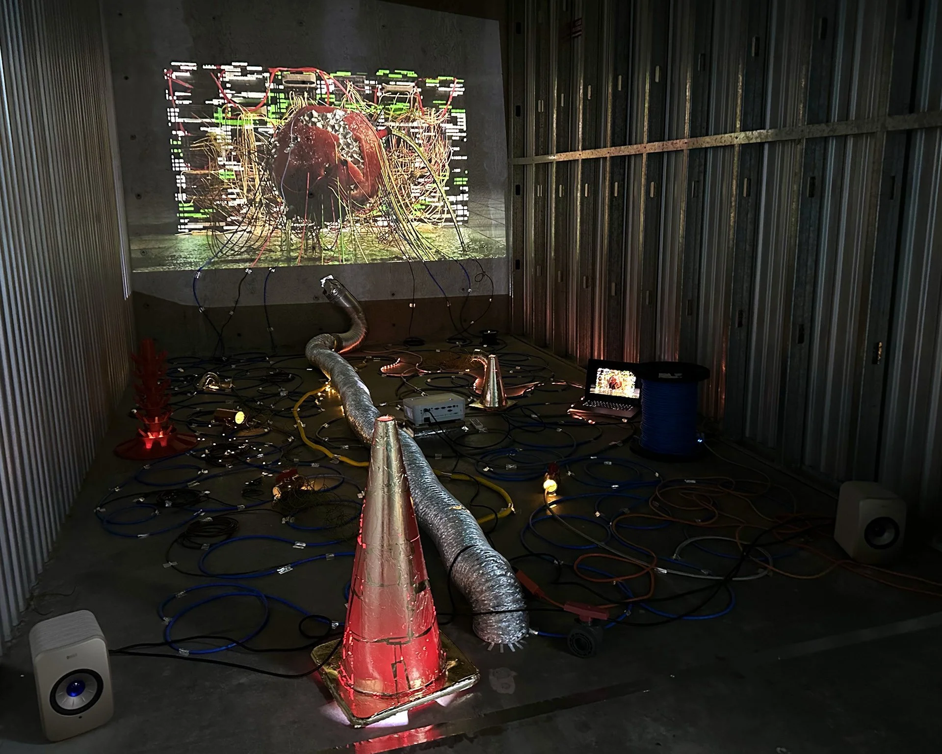 Profs. Jill Miller and Asma Kazmi play pivotal role in $2 Million Climate Action Arts Network Initiative