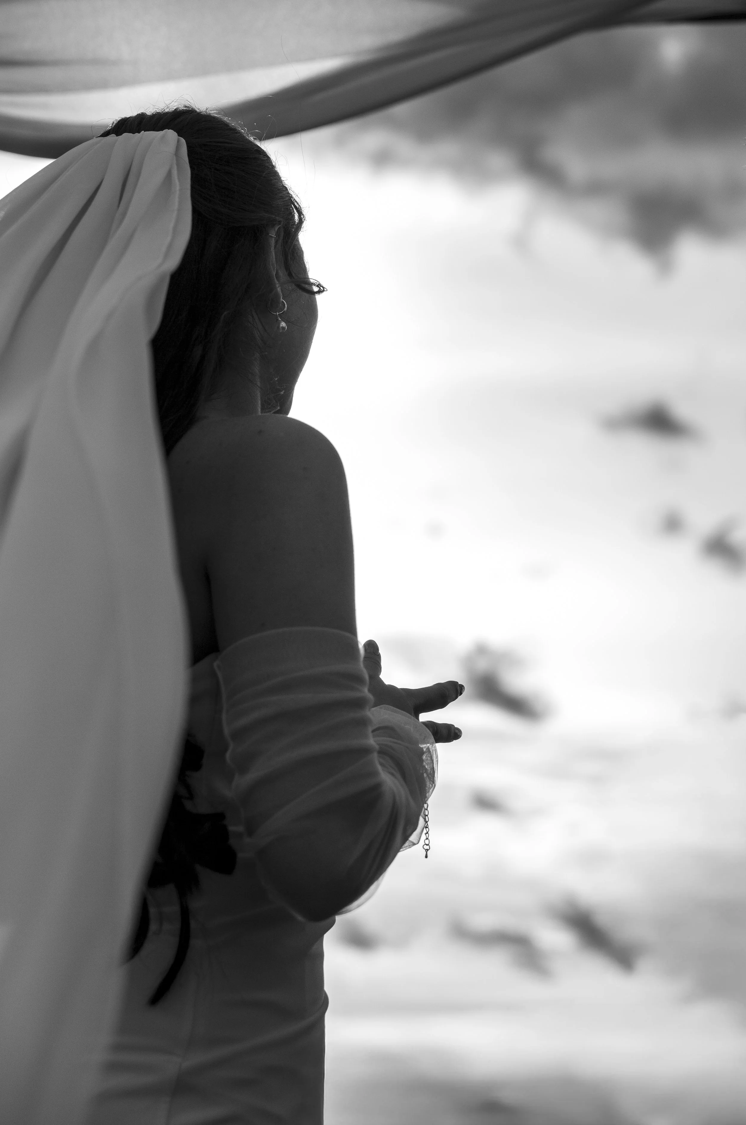 L1005767.jpg