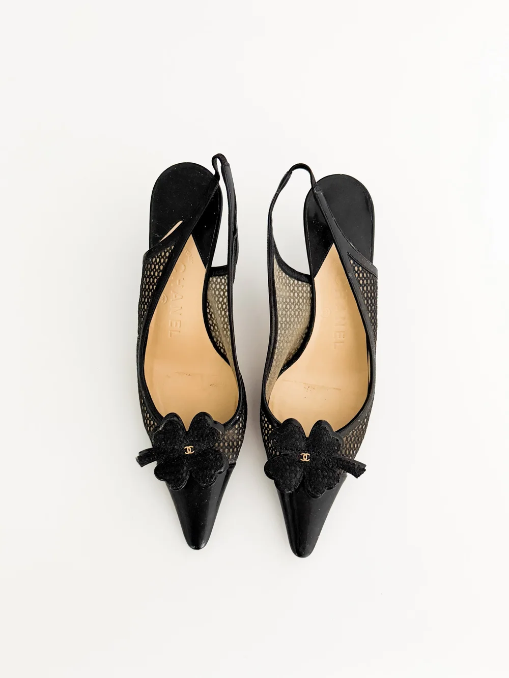 IMG_7406.JPG?format=1000w