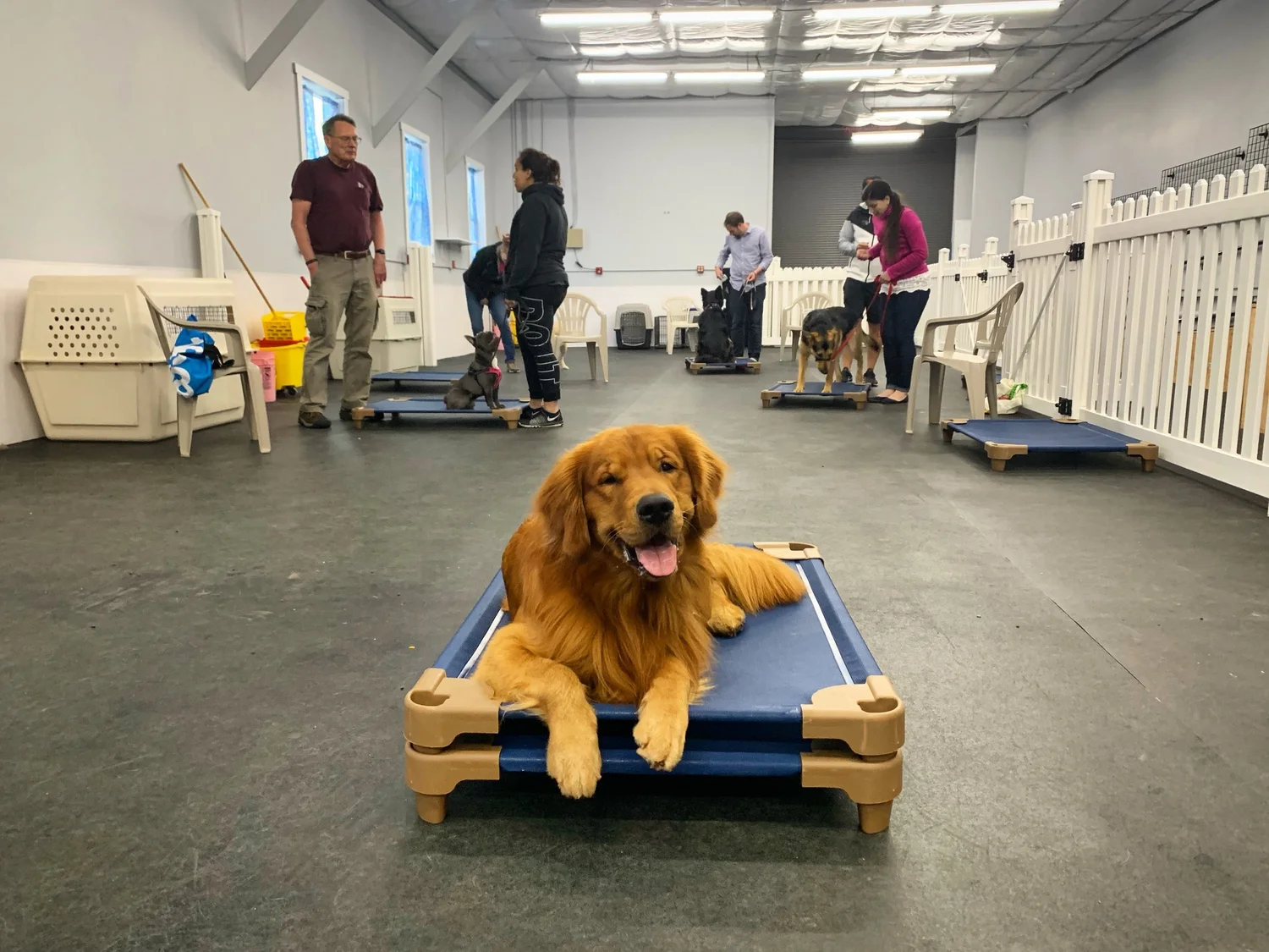 Schedule Best Friends Obedience Agility School Inc Doggy