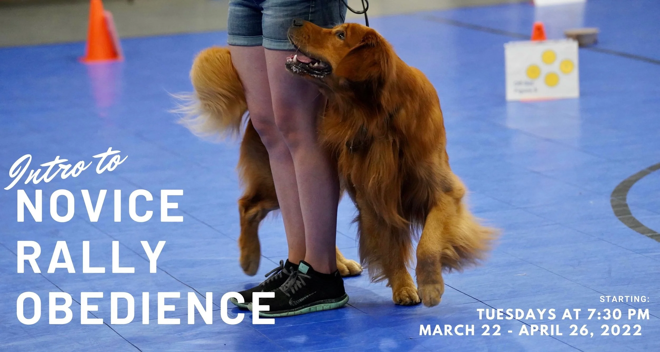 Intro to Rally Obedience
