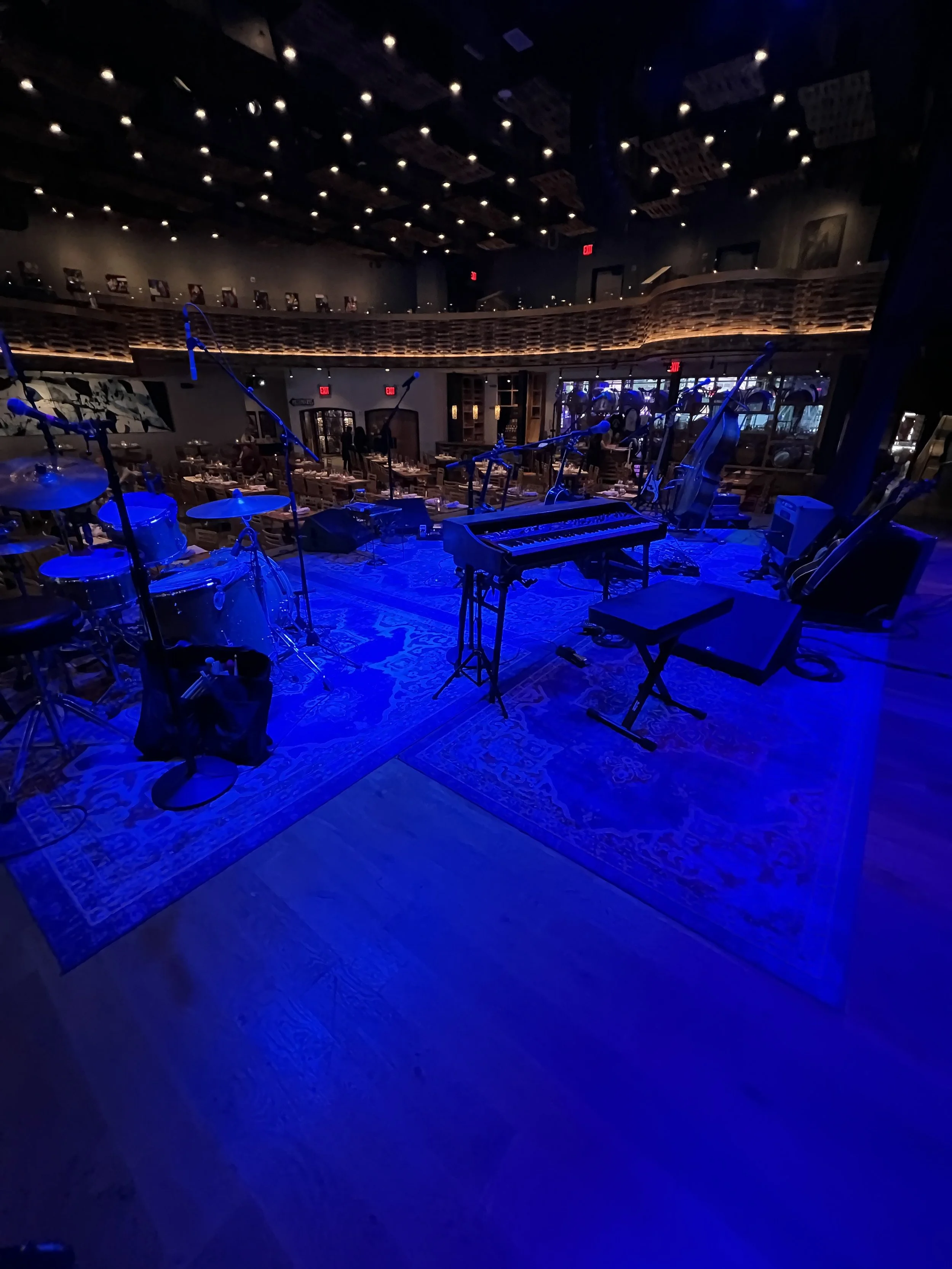 Preserving professional musicians hearing