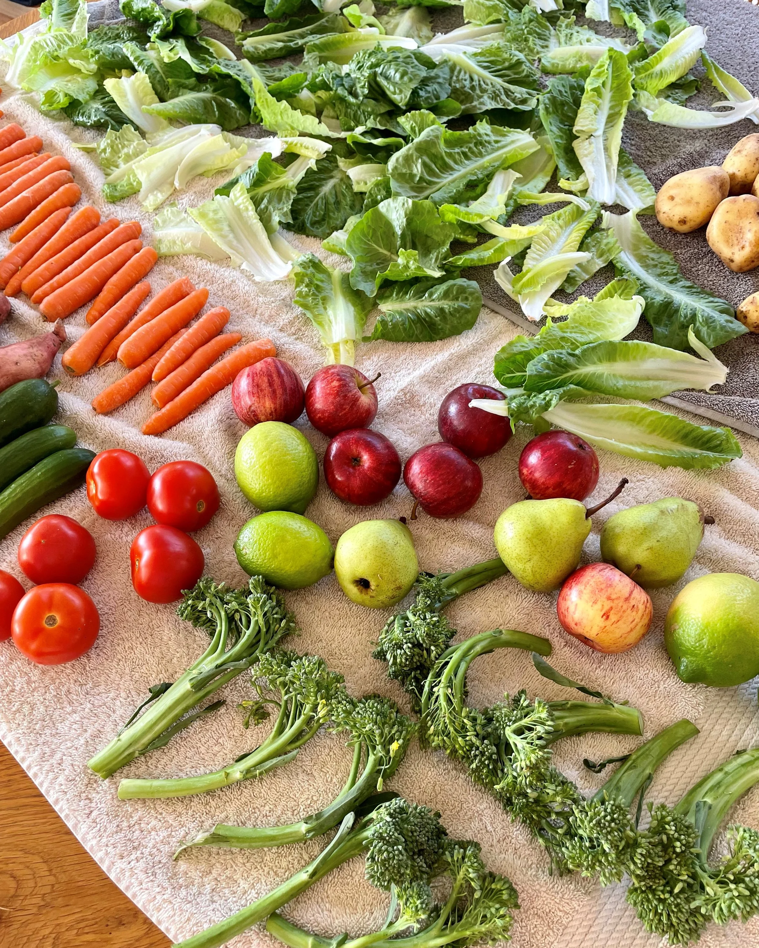 The lectin-free diet