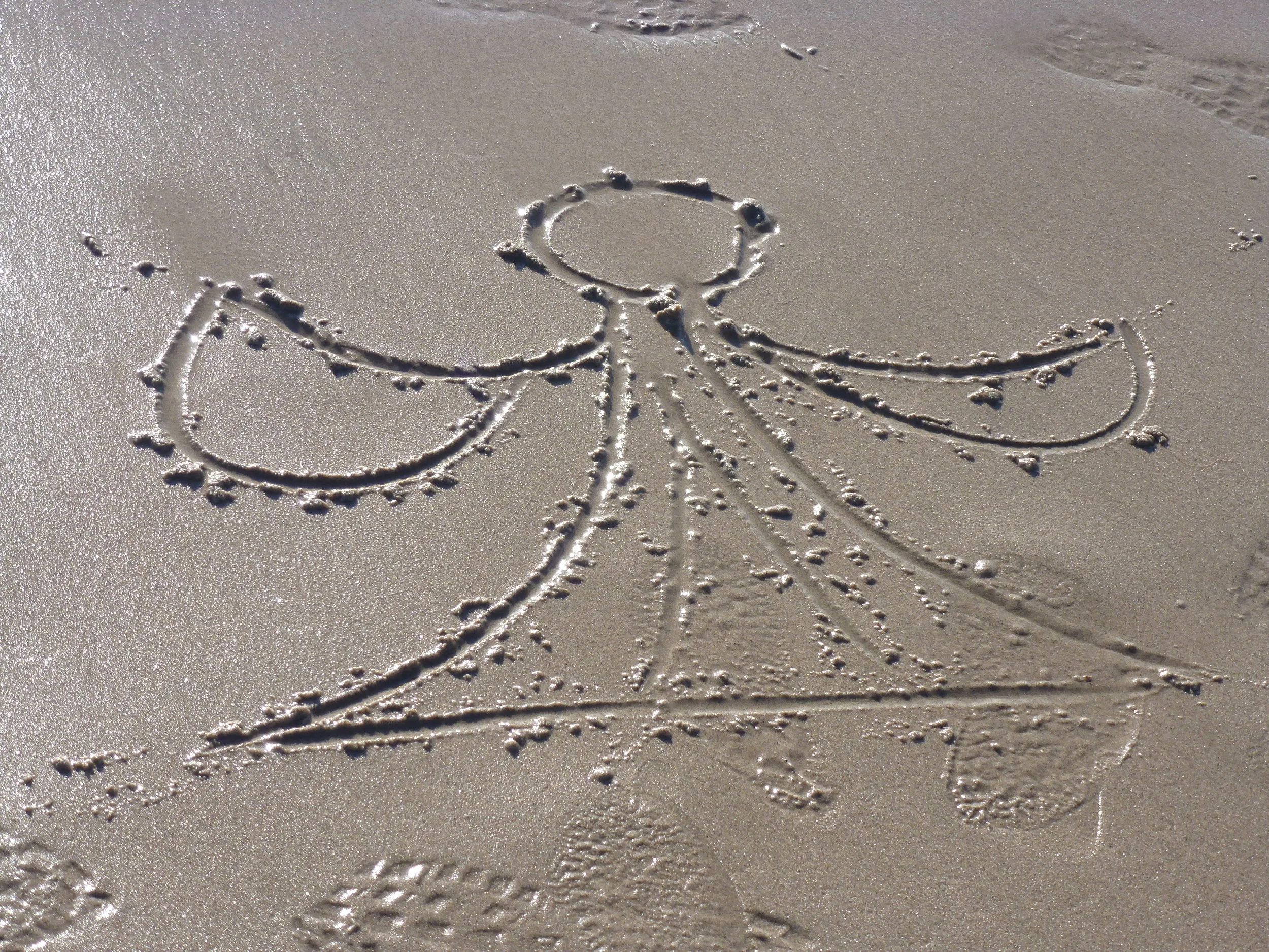 I believe an Angel was sent to me. Oddly, this Angel is Vegan. 