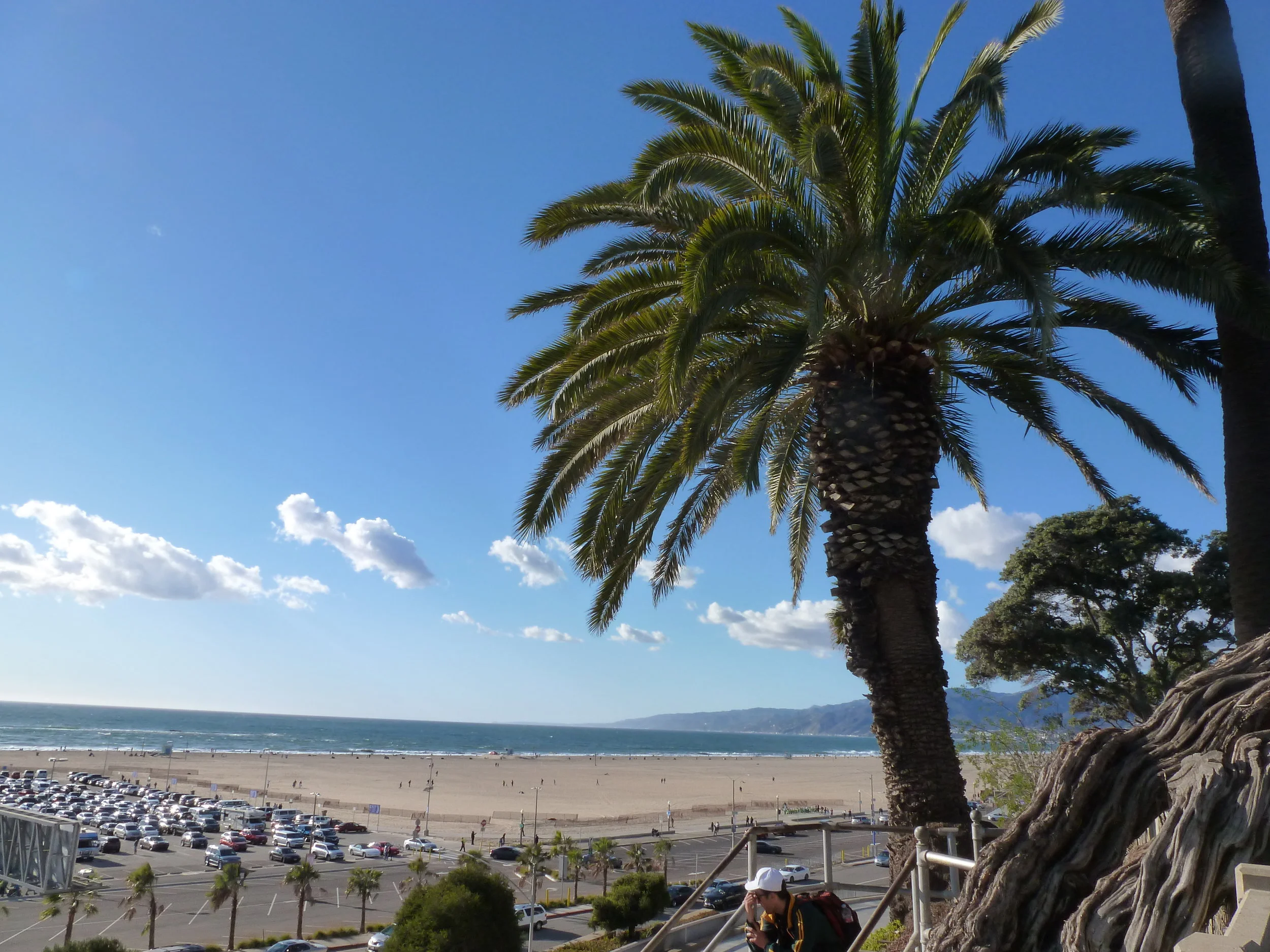 Today is a perfect day to run along the coast.