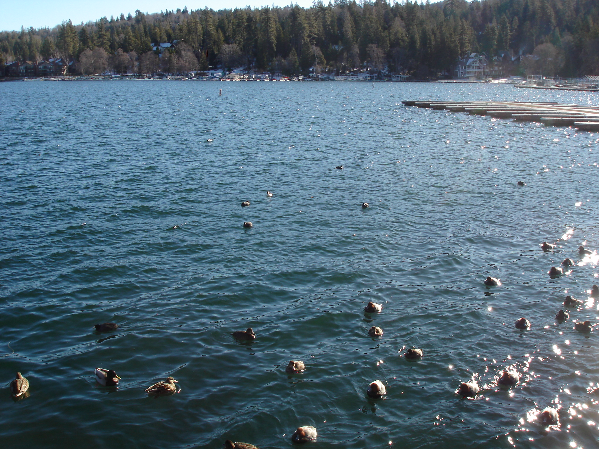 Lake Arrowhead