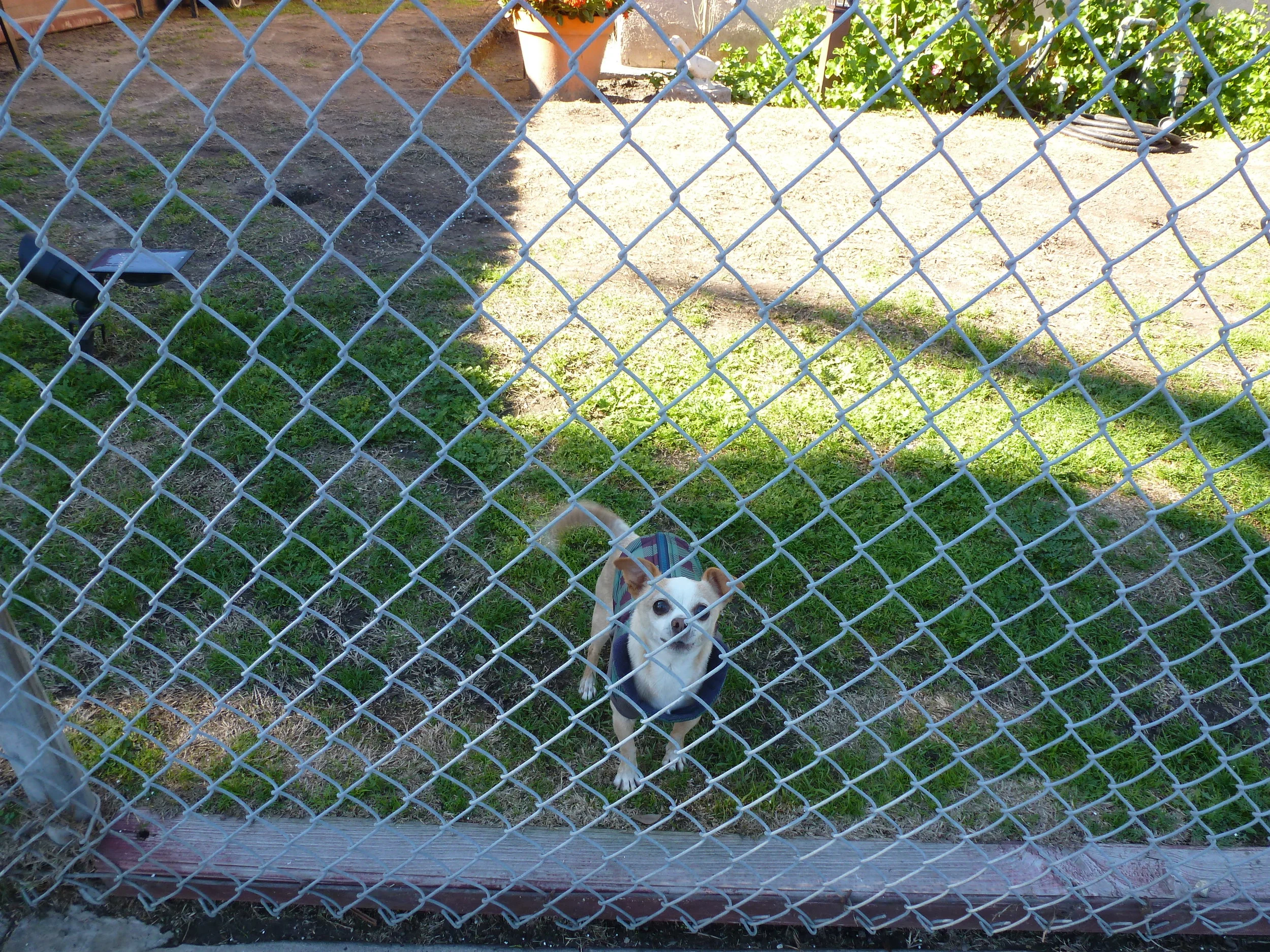 What did you bring me? 