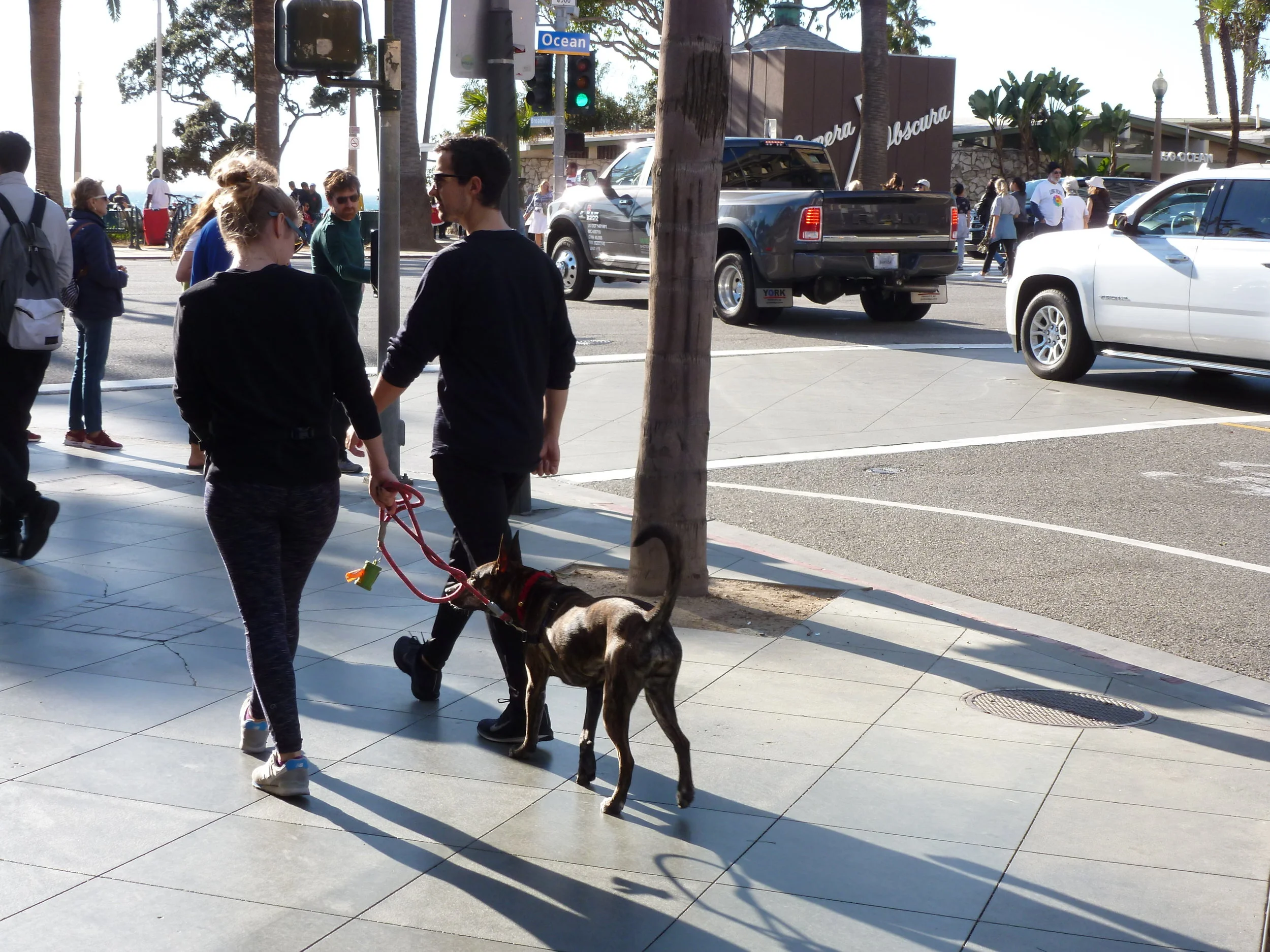 P1020838 GALLERY.JPG