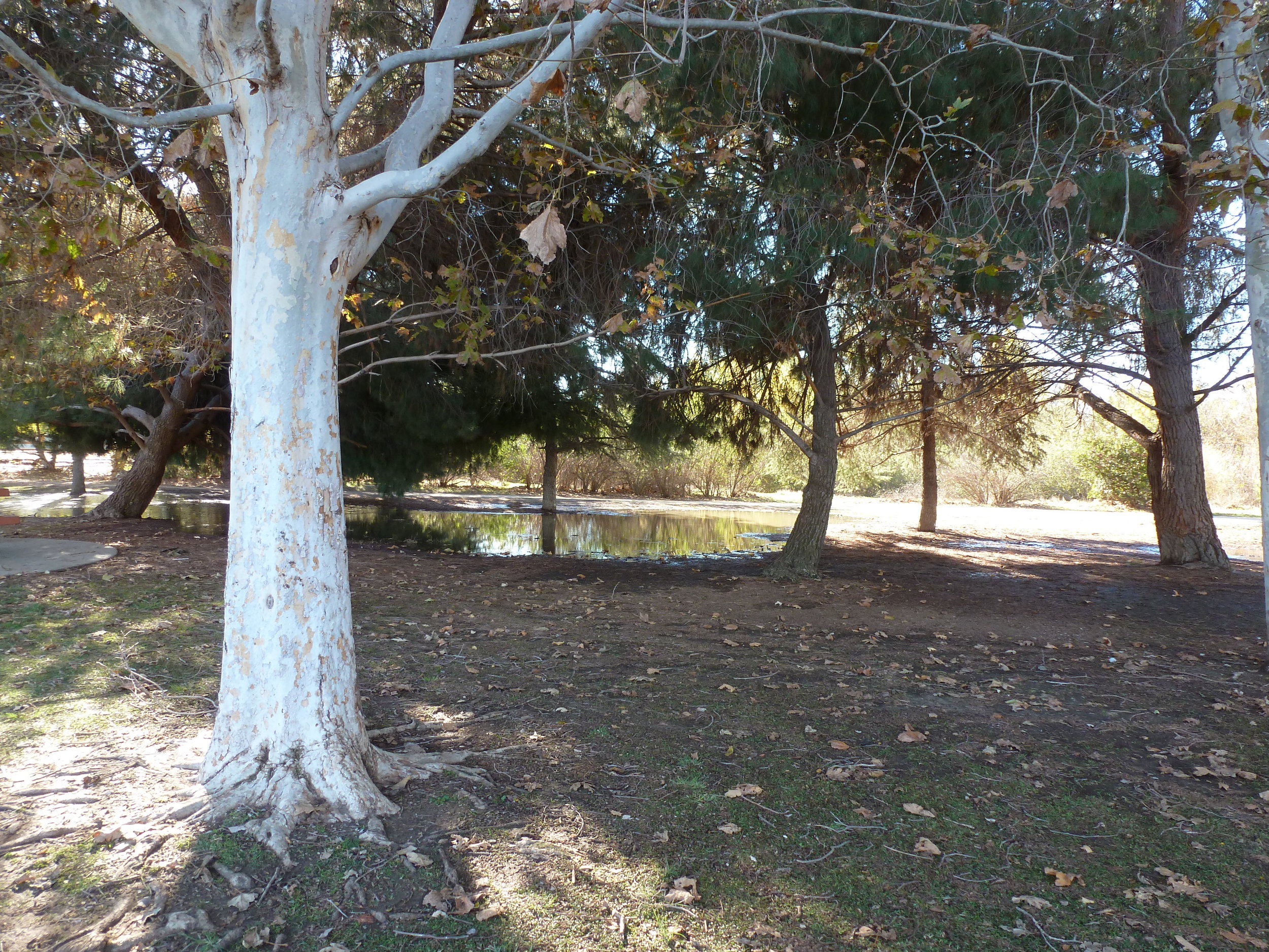 Our recent weather change 