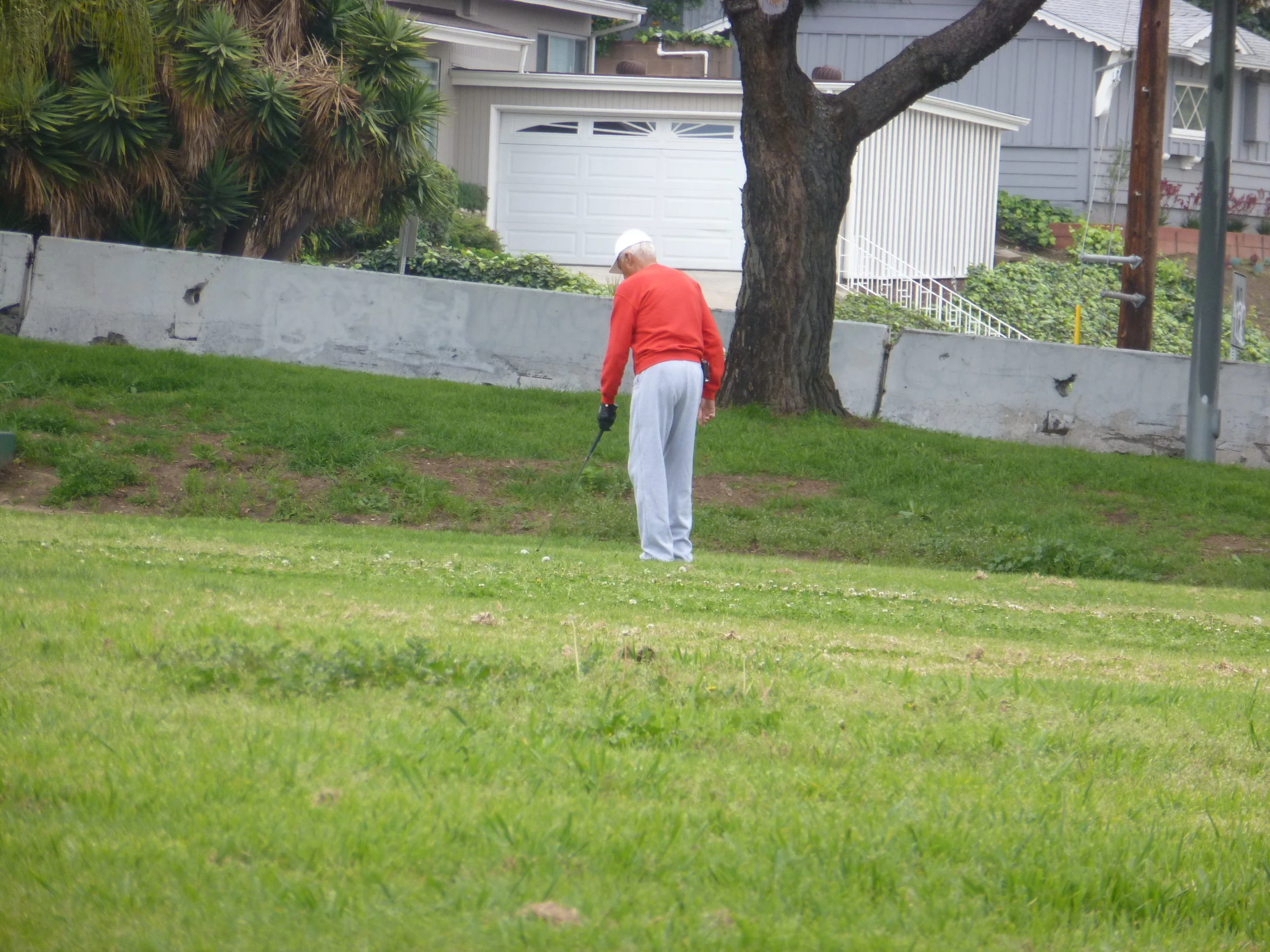 Golfer 748.JPG
