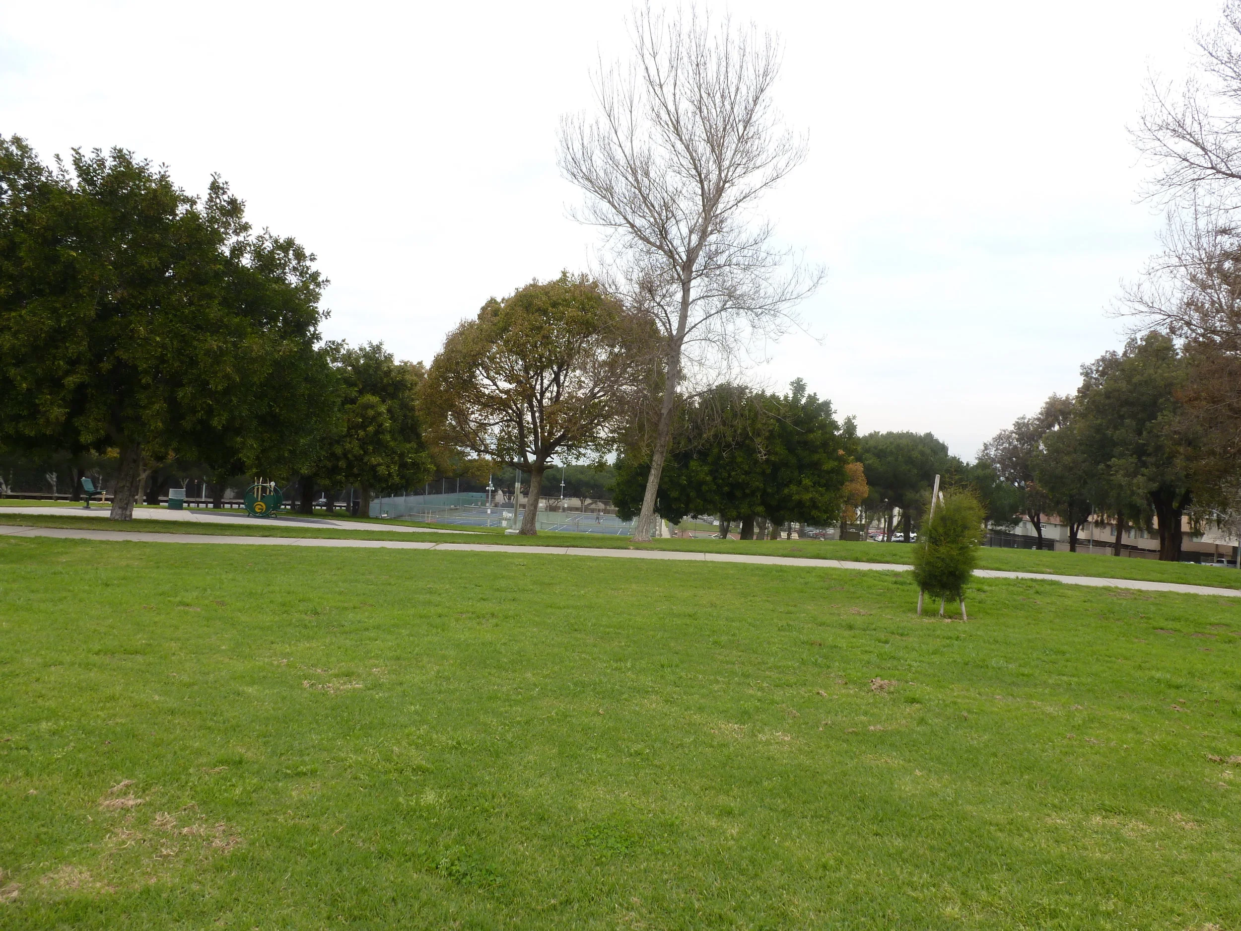 Jim Gilliam Park