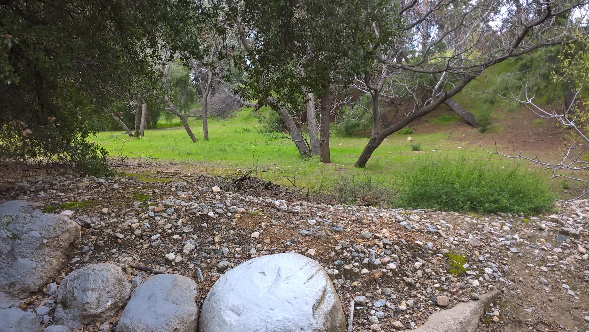 Rejoice in hope, be patient in tribulation, be constant in prayer. 