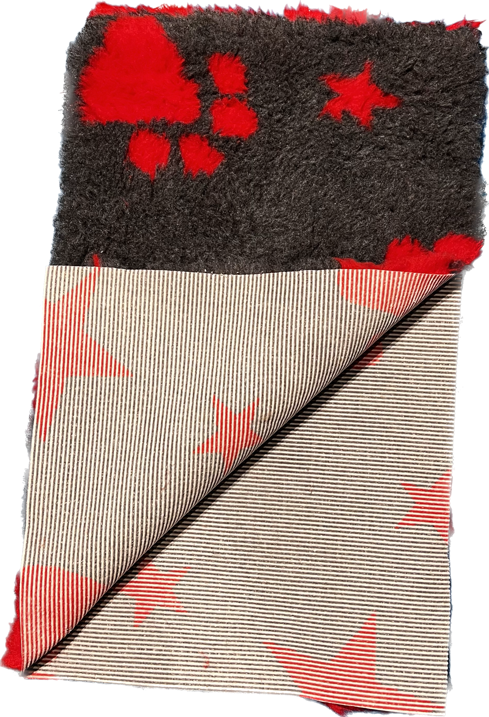 32037842-2B4F-4A3D-B2A0-F7D31EFE835C