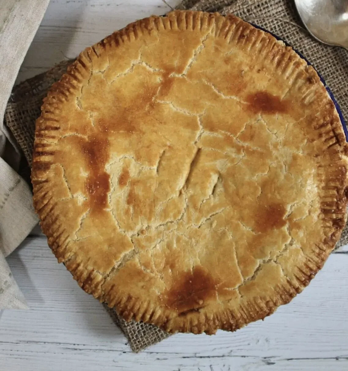 58F1BE21-E669-48C8-A55D-0390BA817875