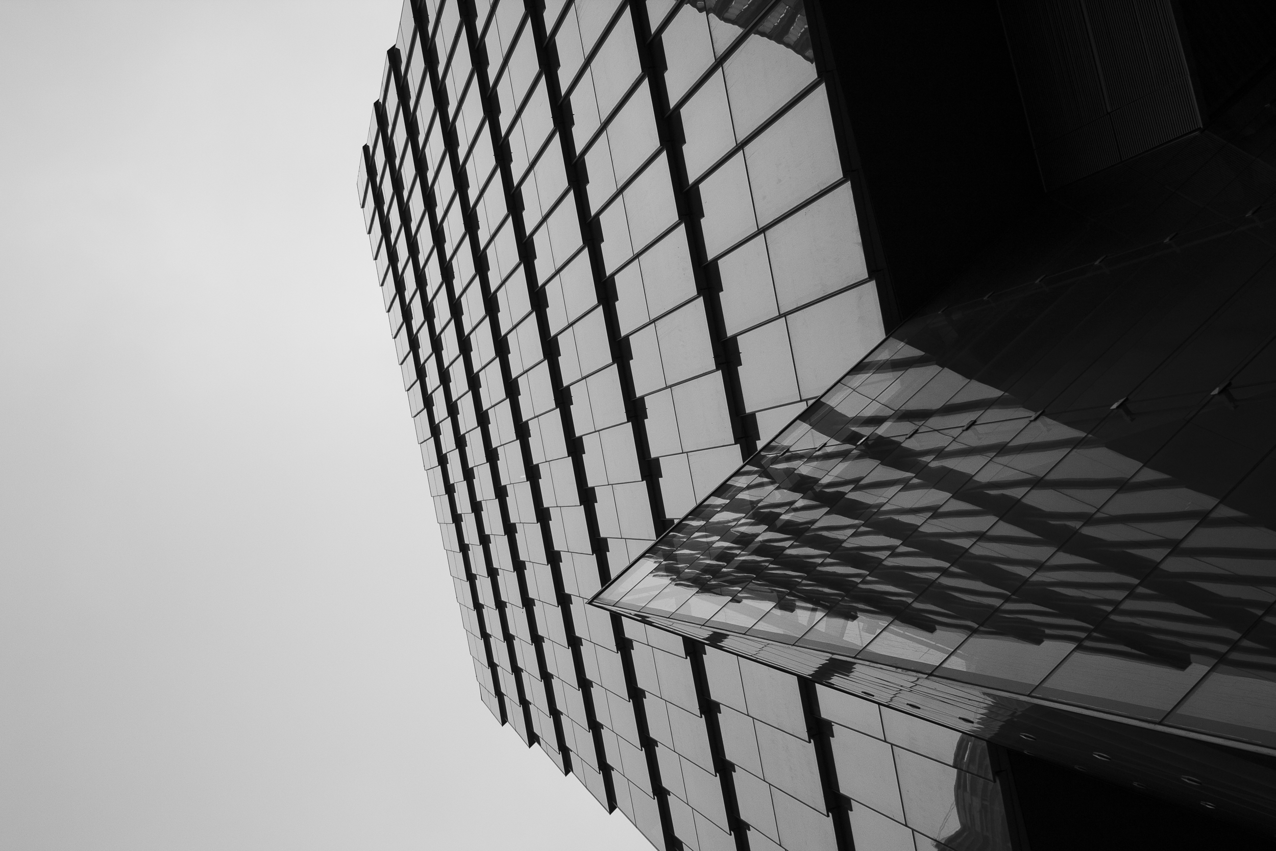 _MG_9357.png