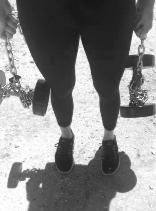Custom Workout Program