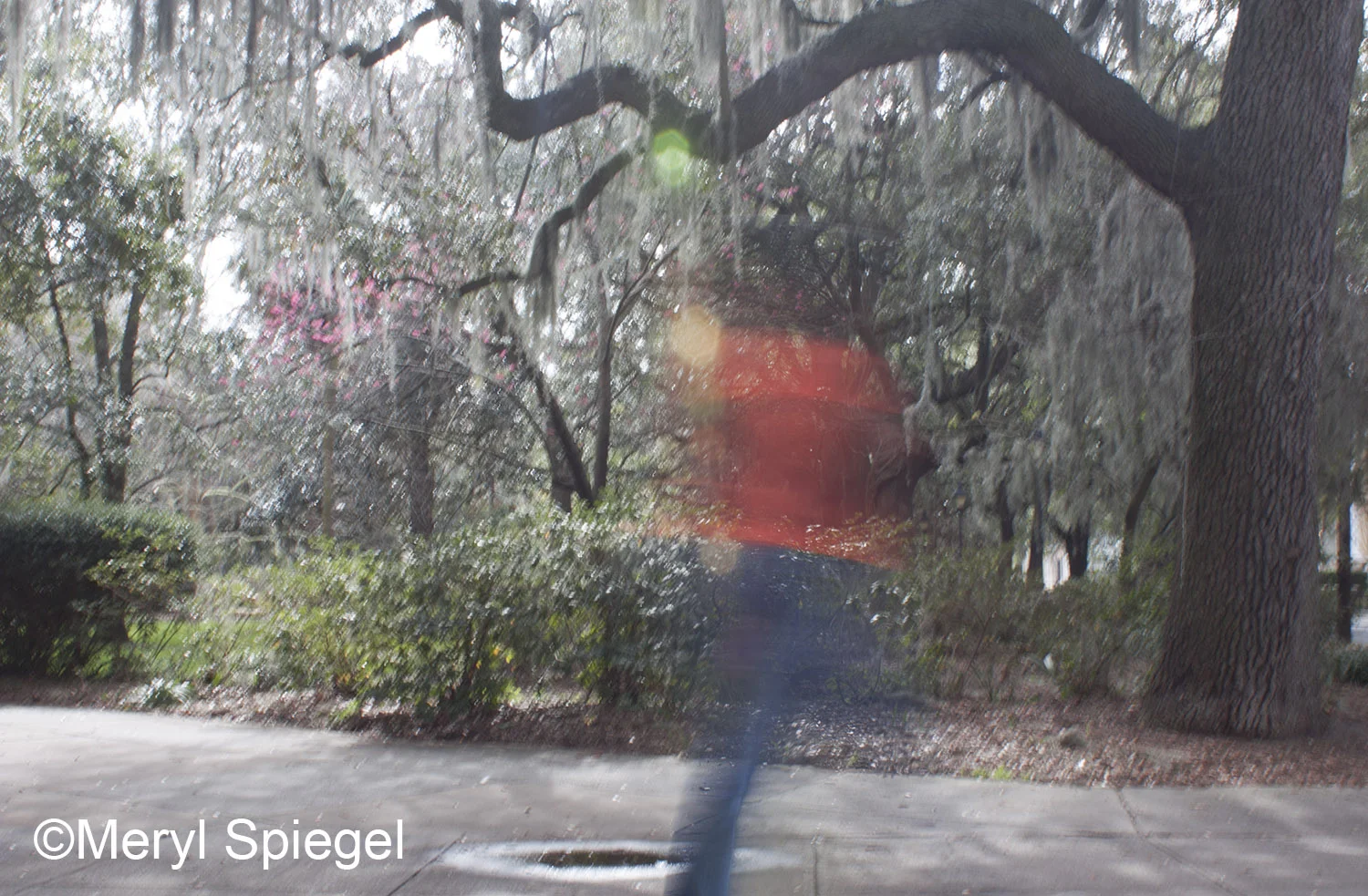 Man in Red