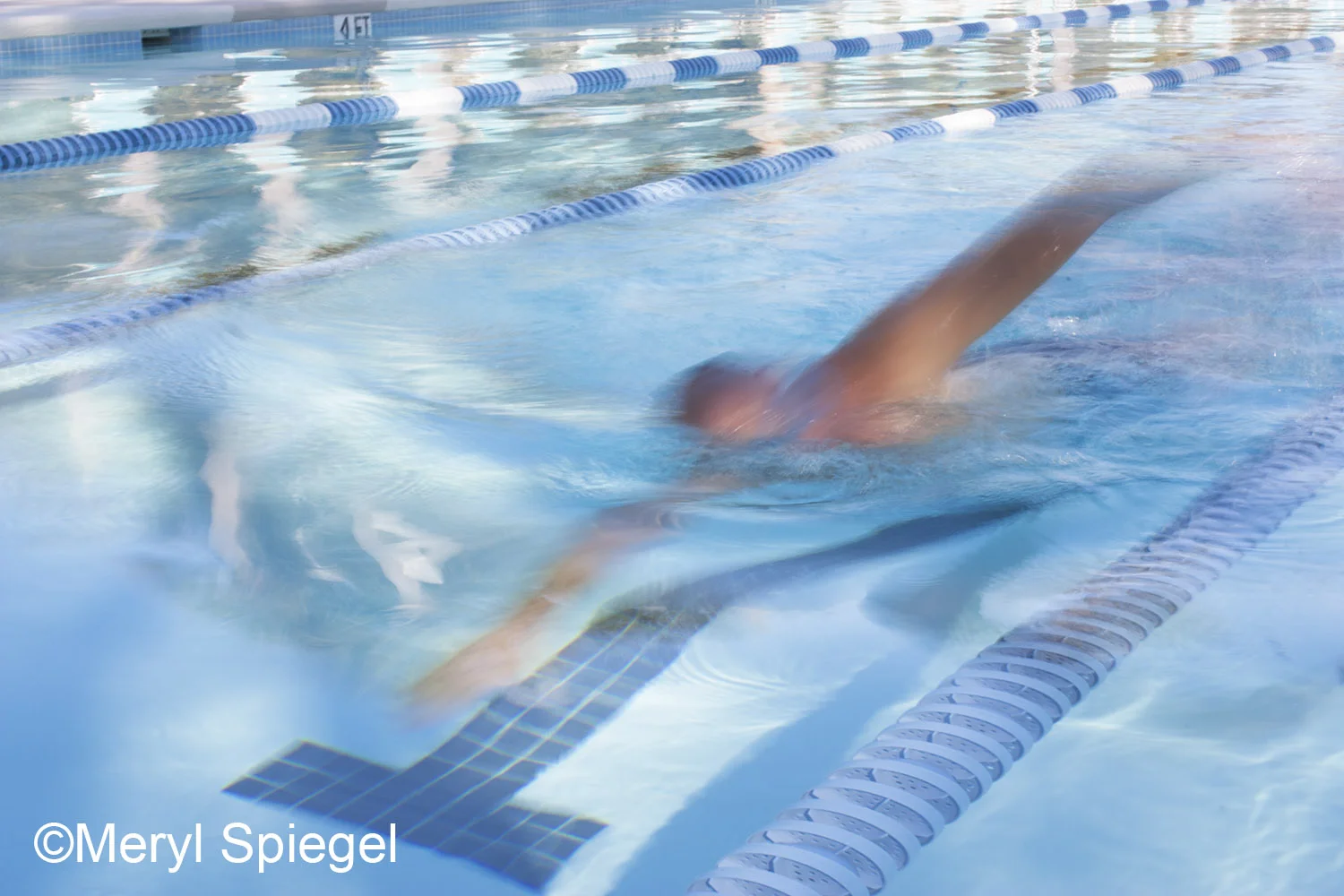 Swimmer