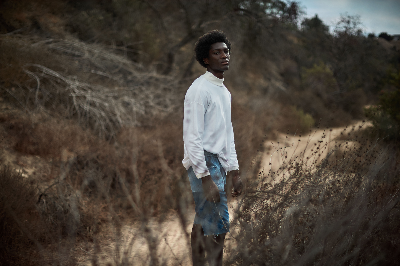 Screen Shot 2018-12-30 at 12.02.36 PM.png