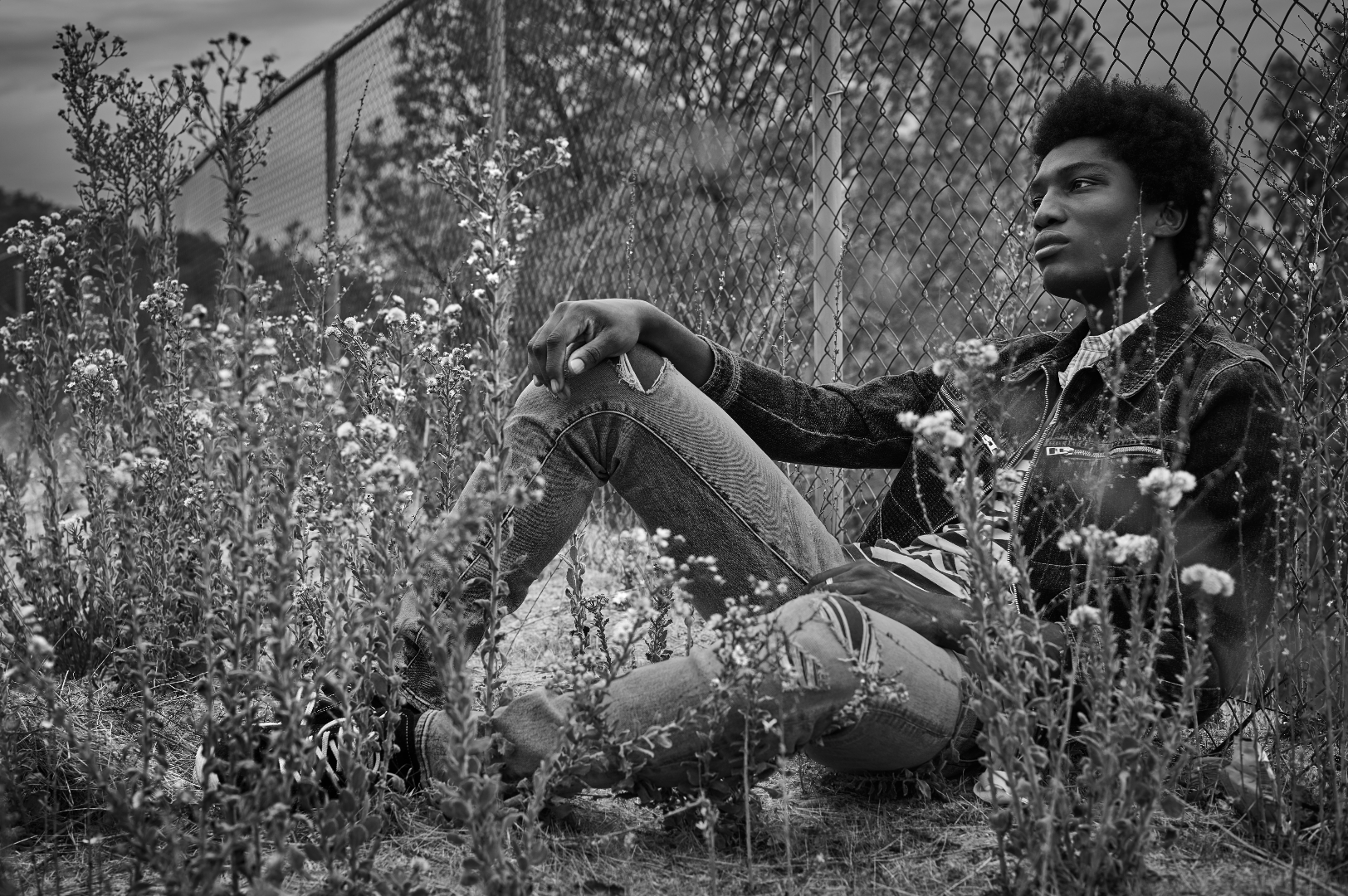 Screen Shot 2018-12-30 at 12.02.49 PM.png