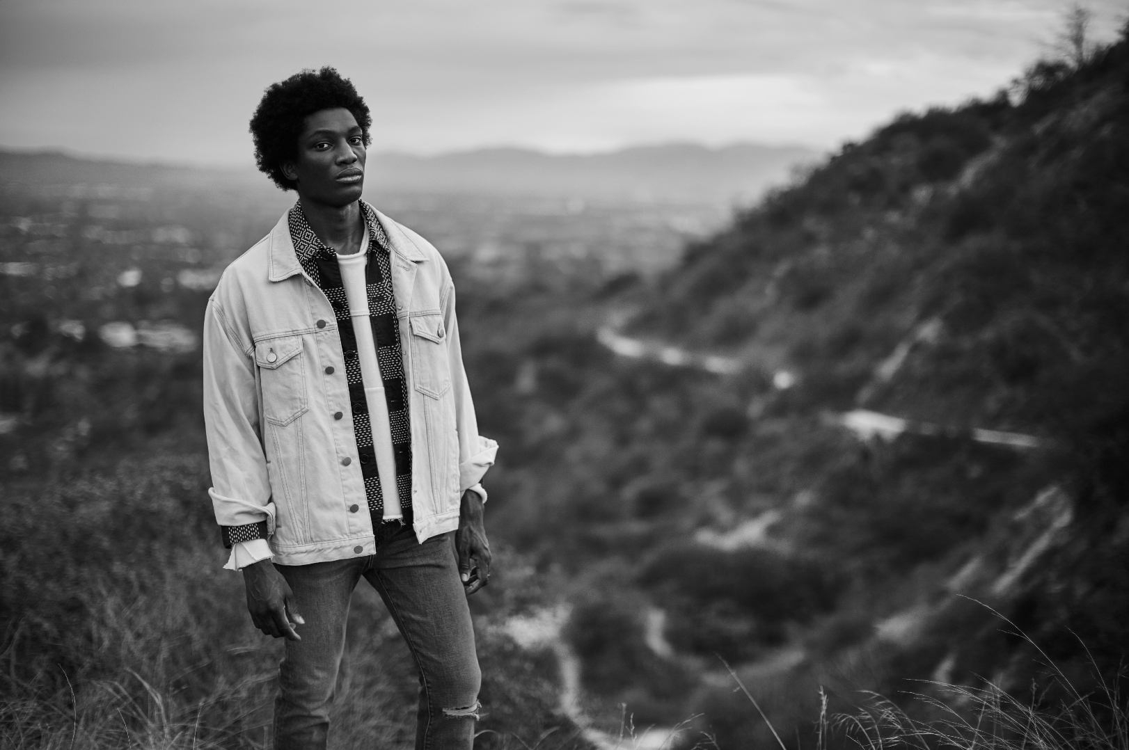 Screen Shot 2018-12-30 at 12.03.18 PM.png