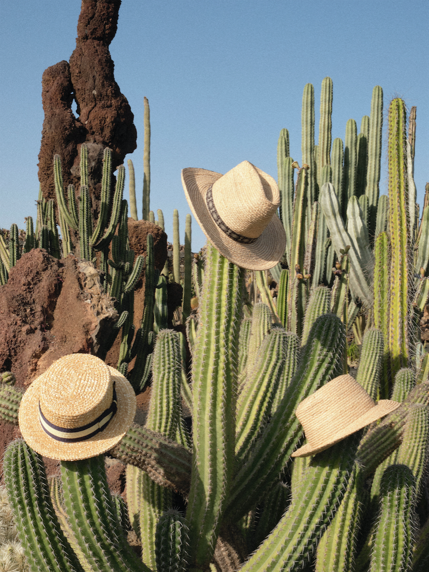 Screen Shot 2020-03-12 at 3.51.45 PM.png