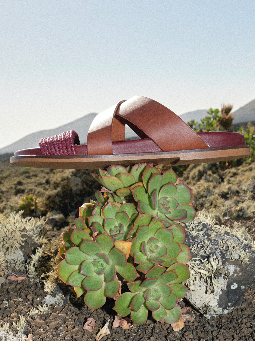 Screen Shot 2020-03-12 at 3.53.14 PM.png