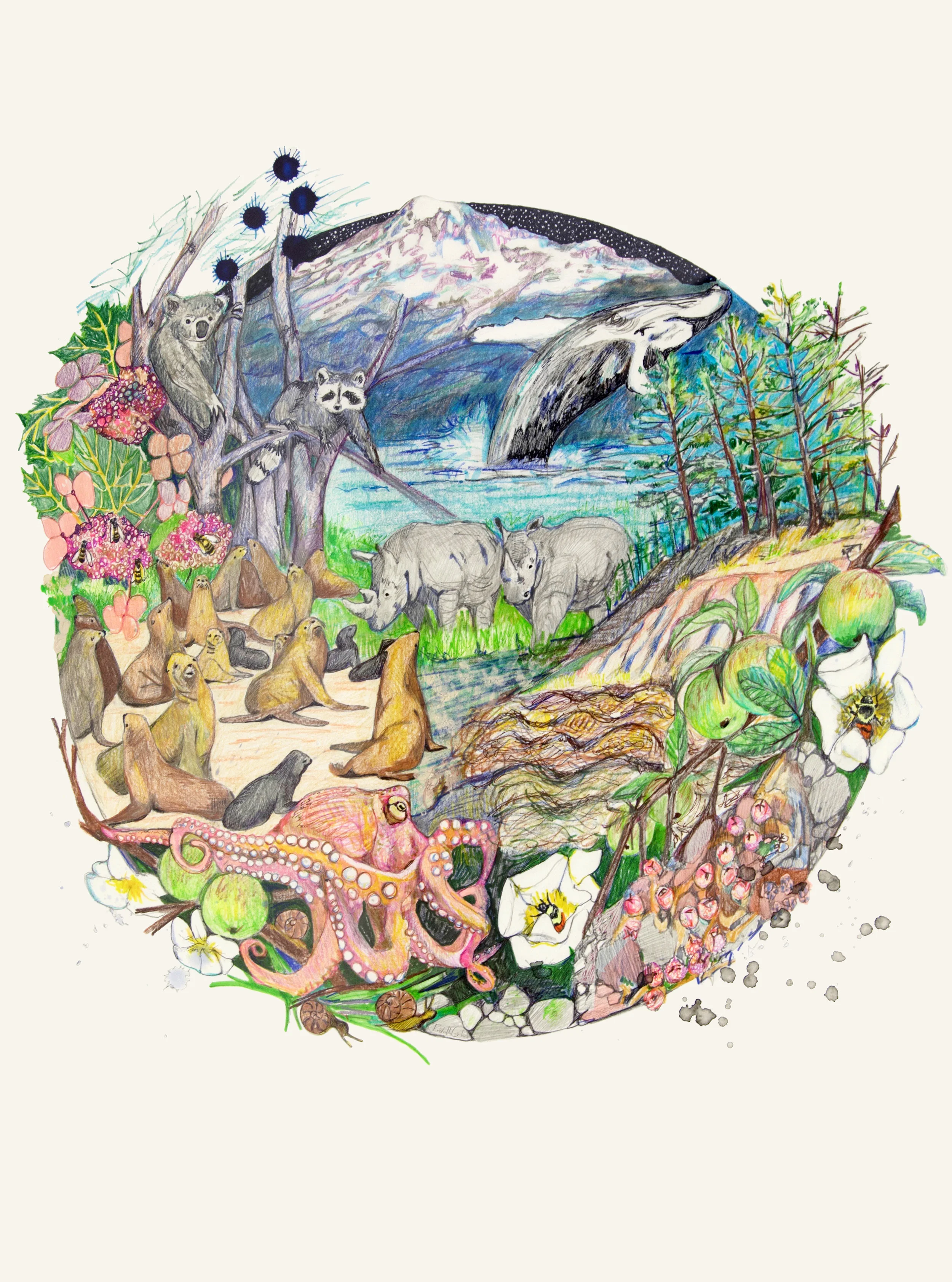 Biosphere-5, colored pencil, graphite, ink on Stonehenge, 33 x 25 inches each, 2017