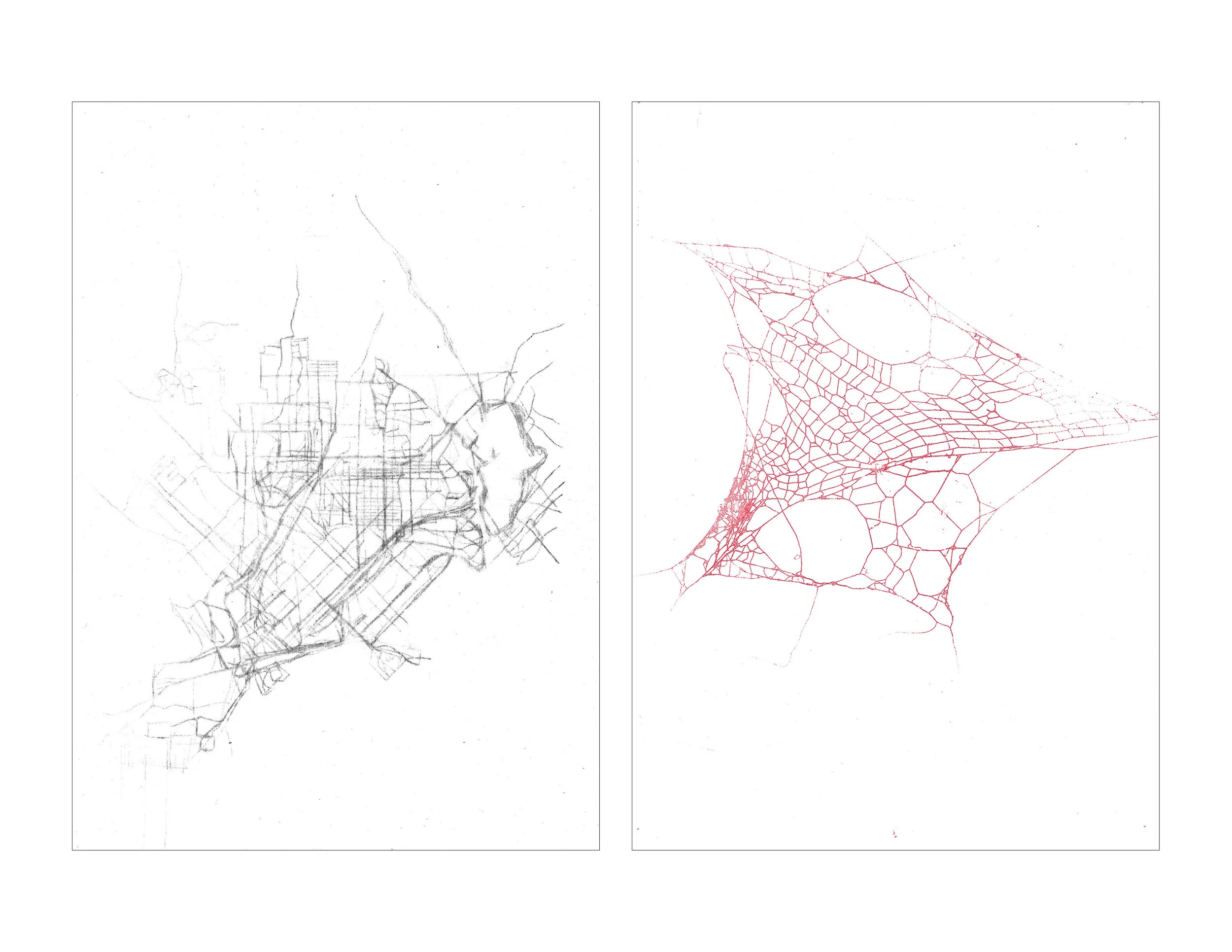 Paths: Dallas, TX, charcoal, spider web on bamboo washi, 15 x 19 inches, 2018
